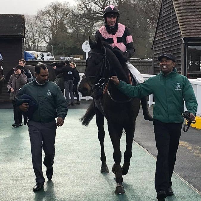 Third Wind walks in after his surprise win in the Silly Moo Sussex Cider Maiden Hurdle at Plumpton
