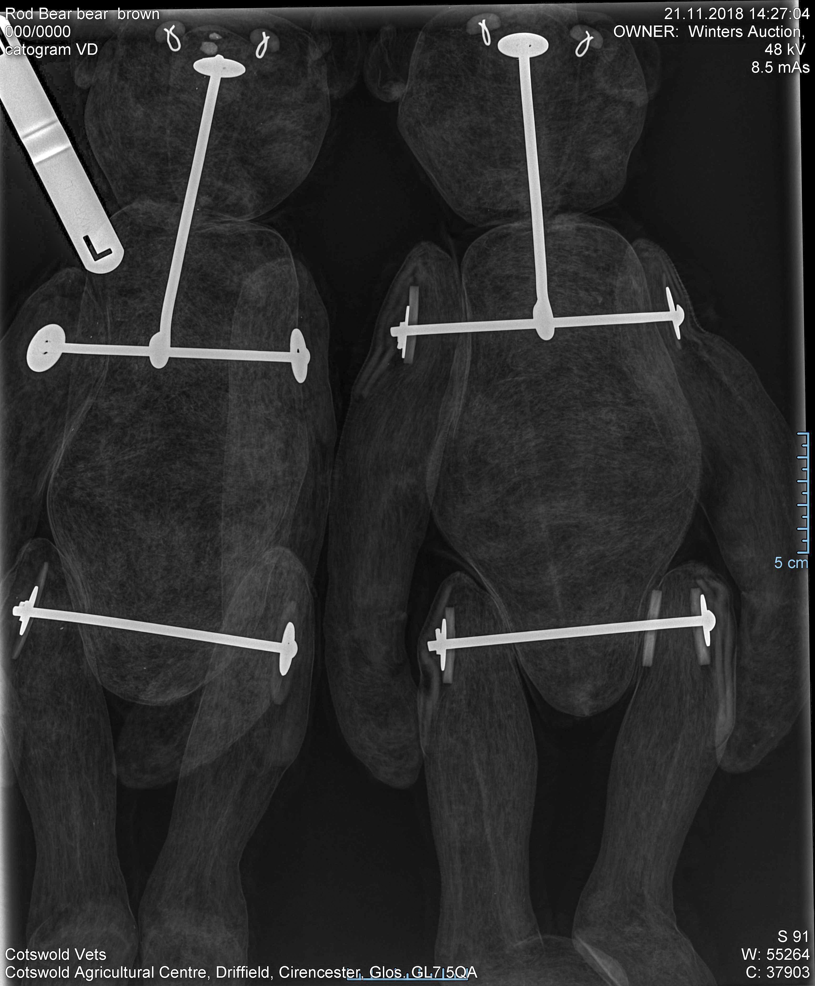 X-rays proved the provenance of the two bears (Dominic Winter Auctioneers/PA).