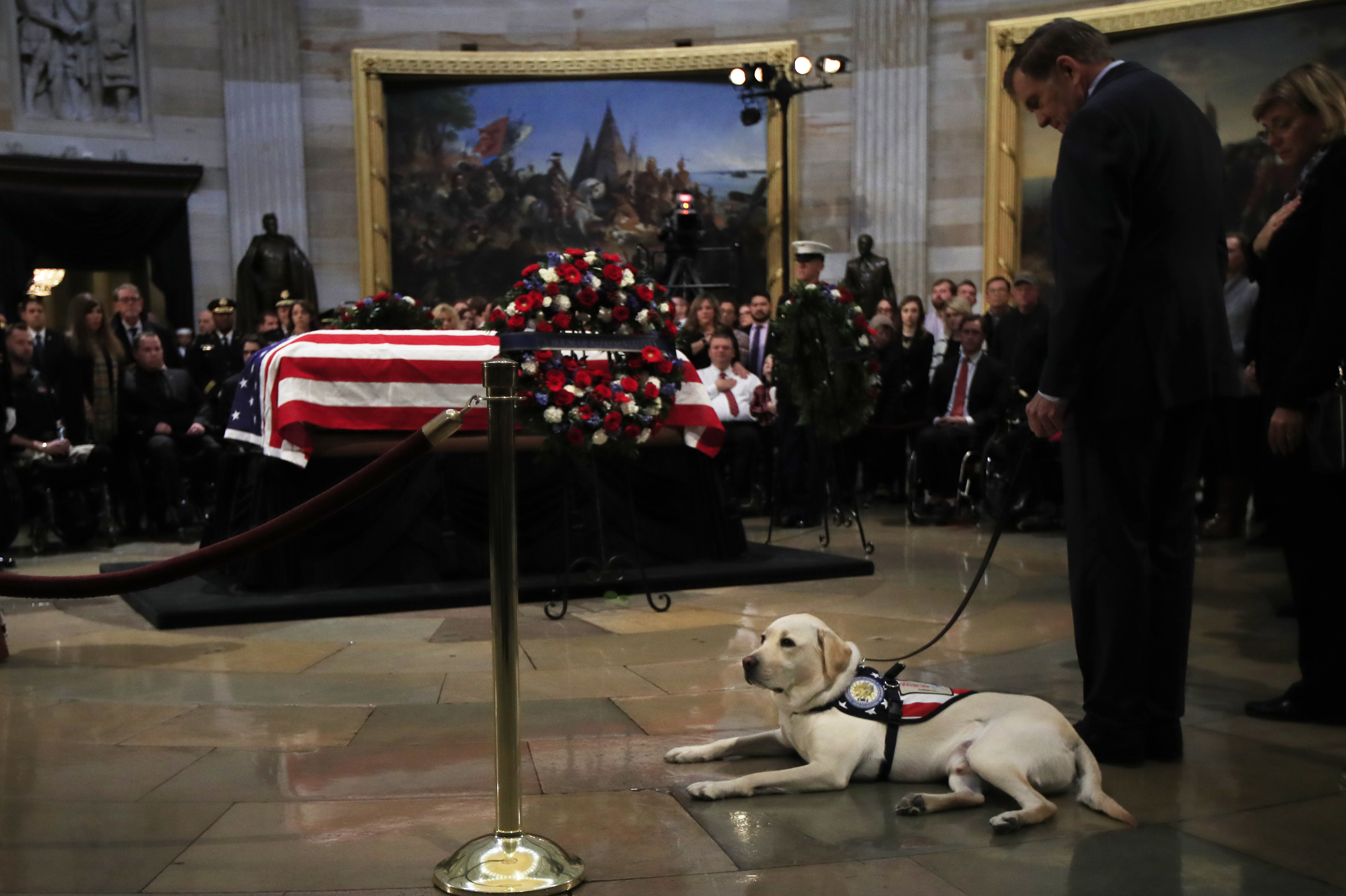 Sully, former president George HW Bush's service dog, pays his respects at the US Capitol