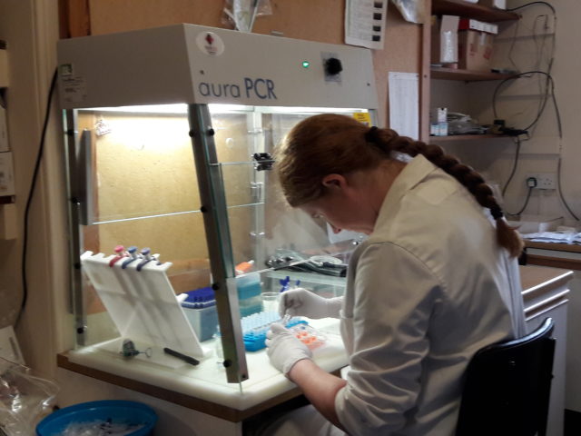 Researchers undertaking lab work on the Isle of May