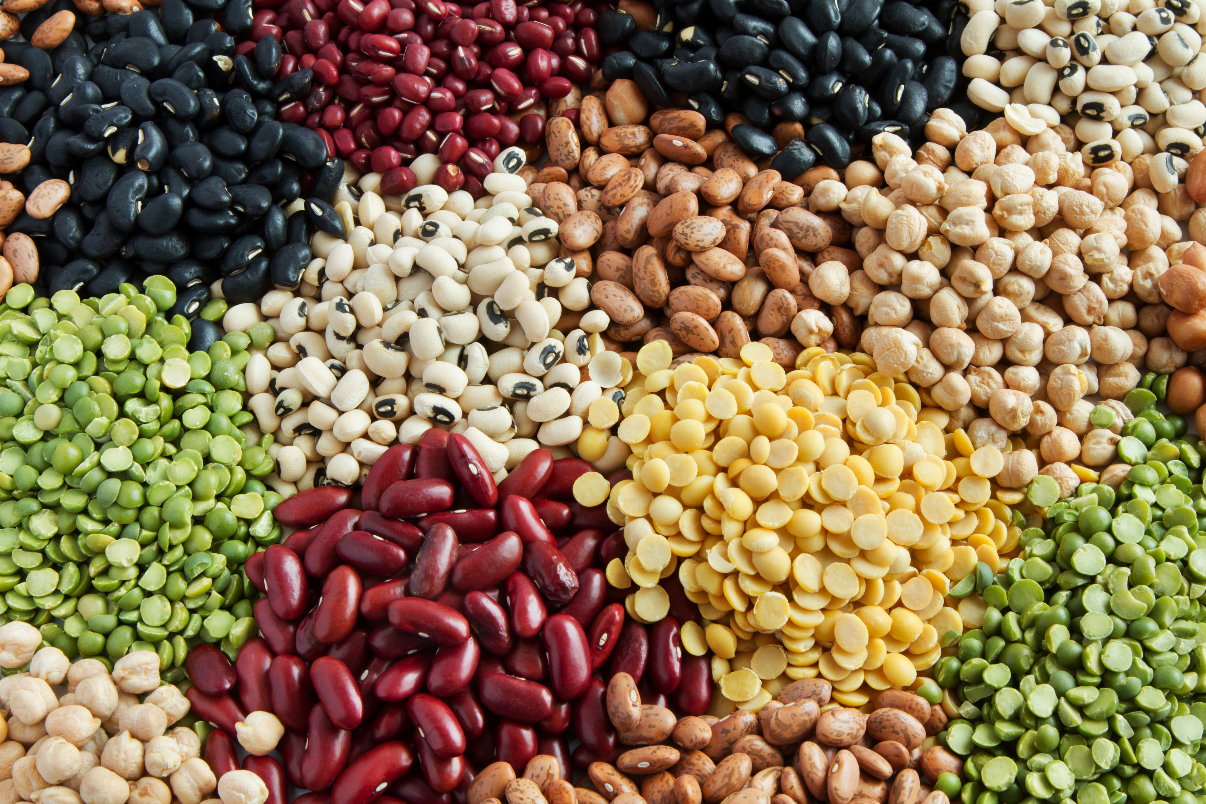 Grains and pulses