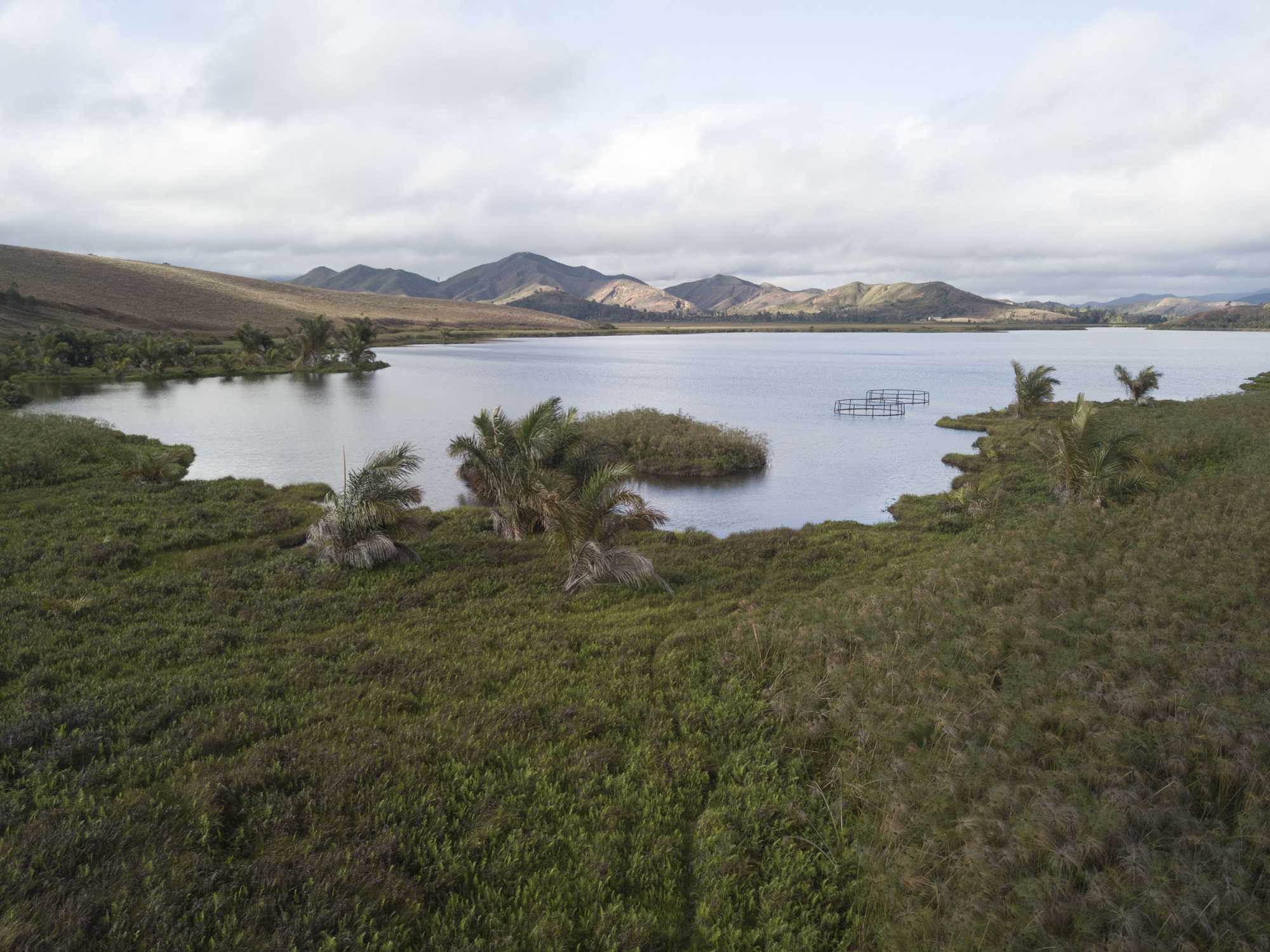 The floating averies on Lake Sofia in Madagascar which are housing the pochards (WWT/PA).