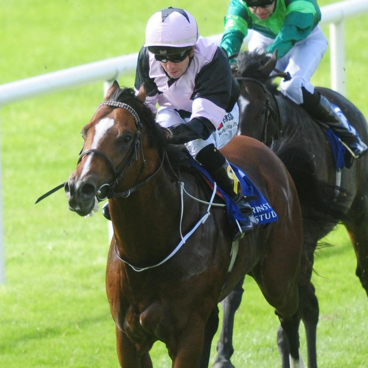 Hit The Bid will not be ready in time for Ascot