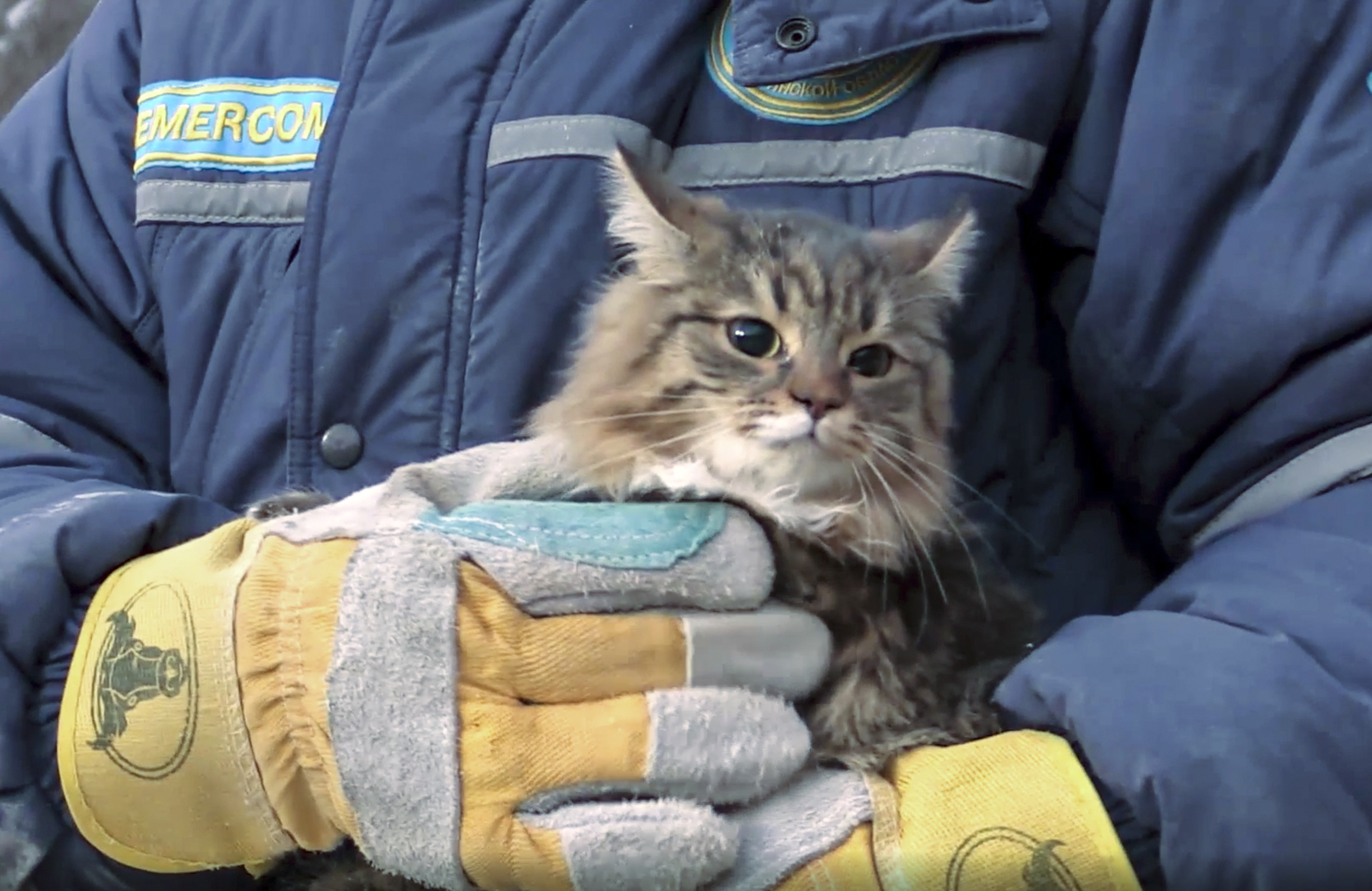 An Emergency Situations employee holding a cat rescued from debris 
