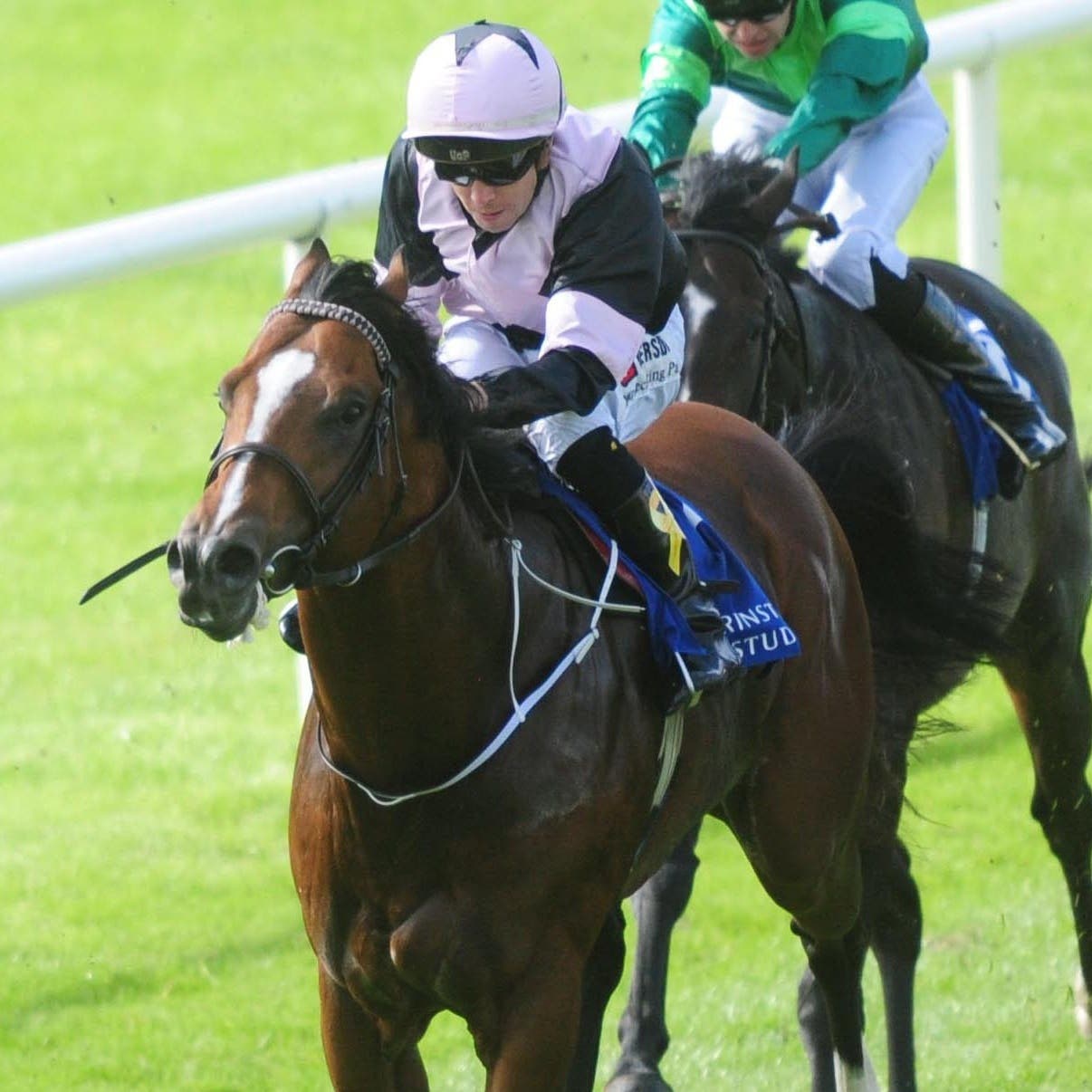 Hit The Bid made a pleasing return at Meydan