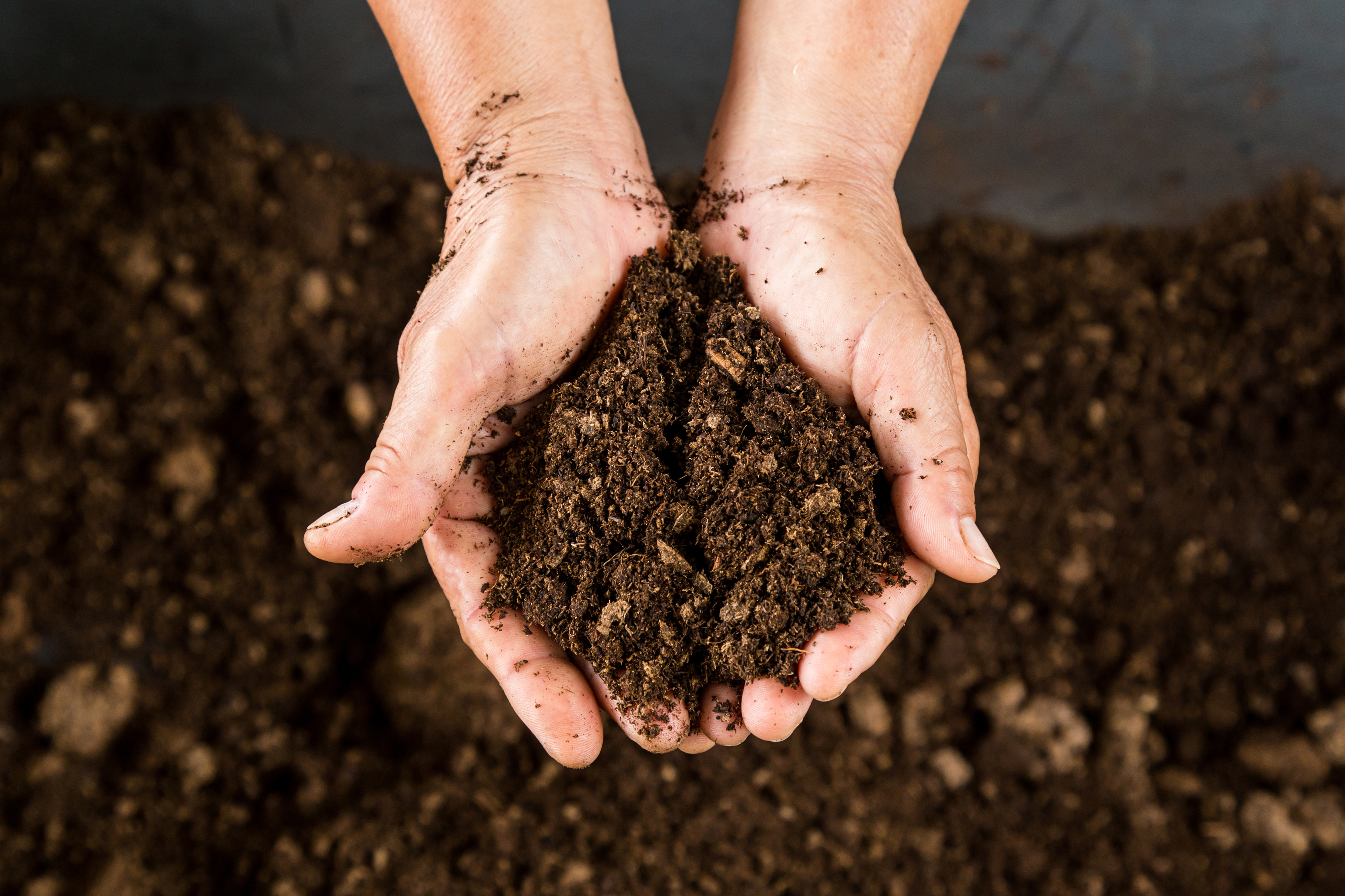 Be careful what you put in your compost (Thinkstock/PA)