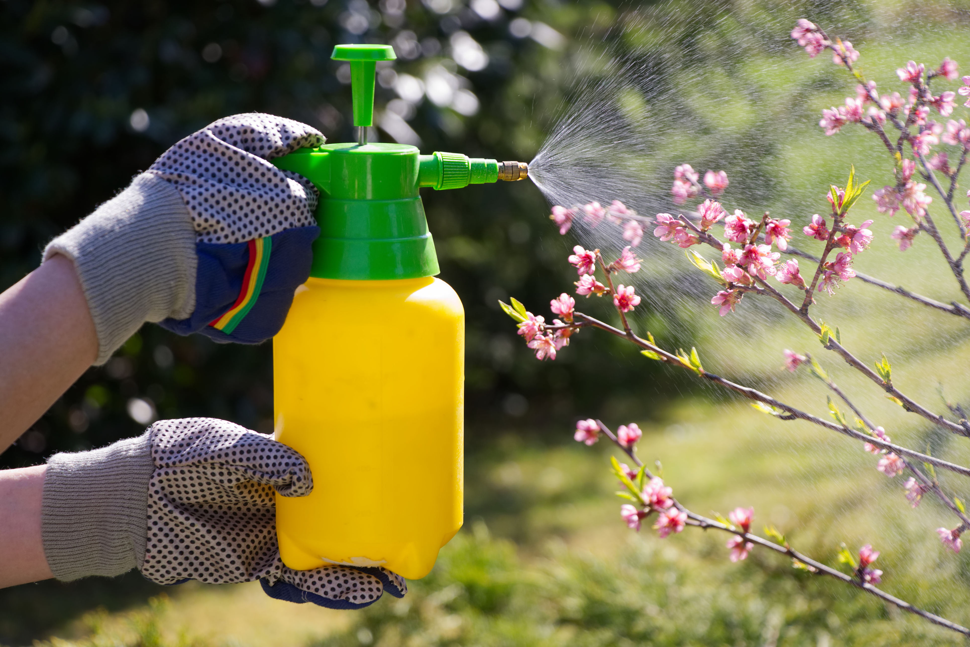 Don't kill pests with insecticides (Thinkstock/PA)