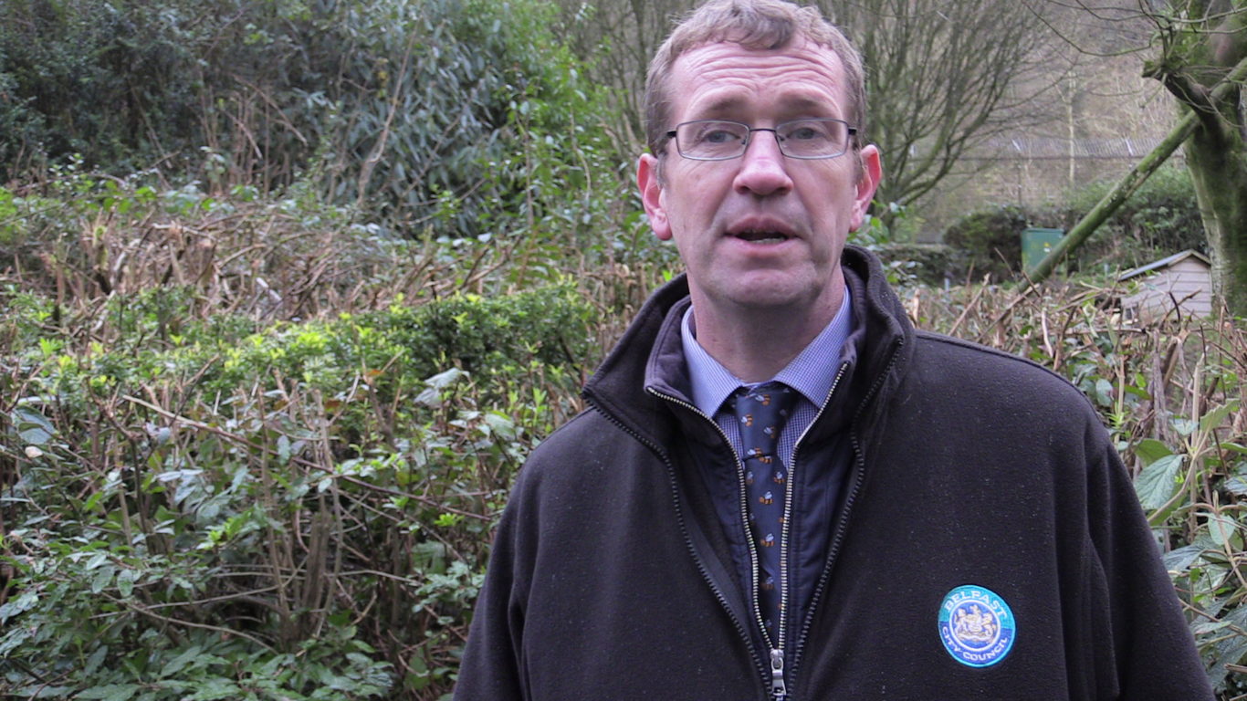 ‘Cheeky’ escapee red panda saw chance to explore, says Belfast