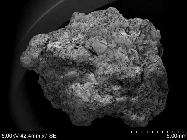 These microscopic samples show what is believed the be the earliest evidence of beer-making in the UK, potentially dating back to 400 BC. (MOLA HEADLAND/ PA)