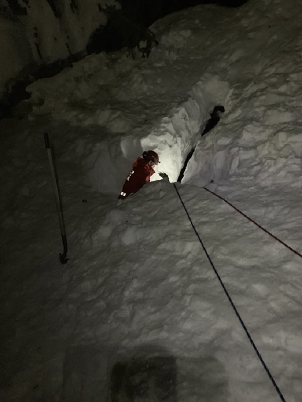 A dog is rescued from the snow