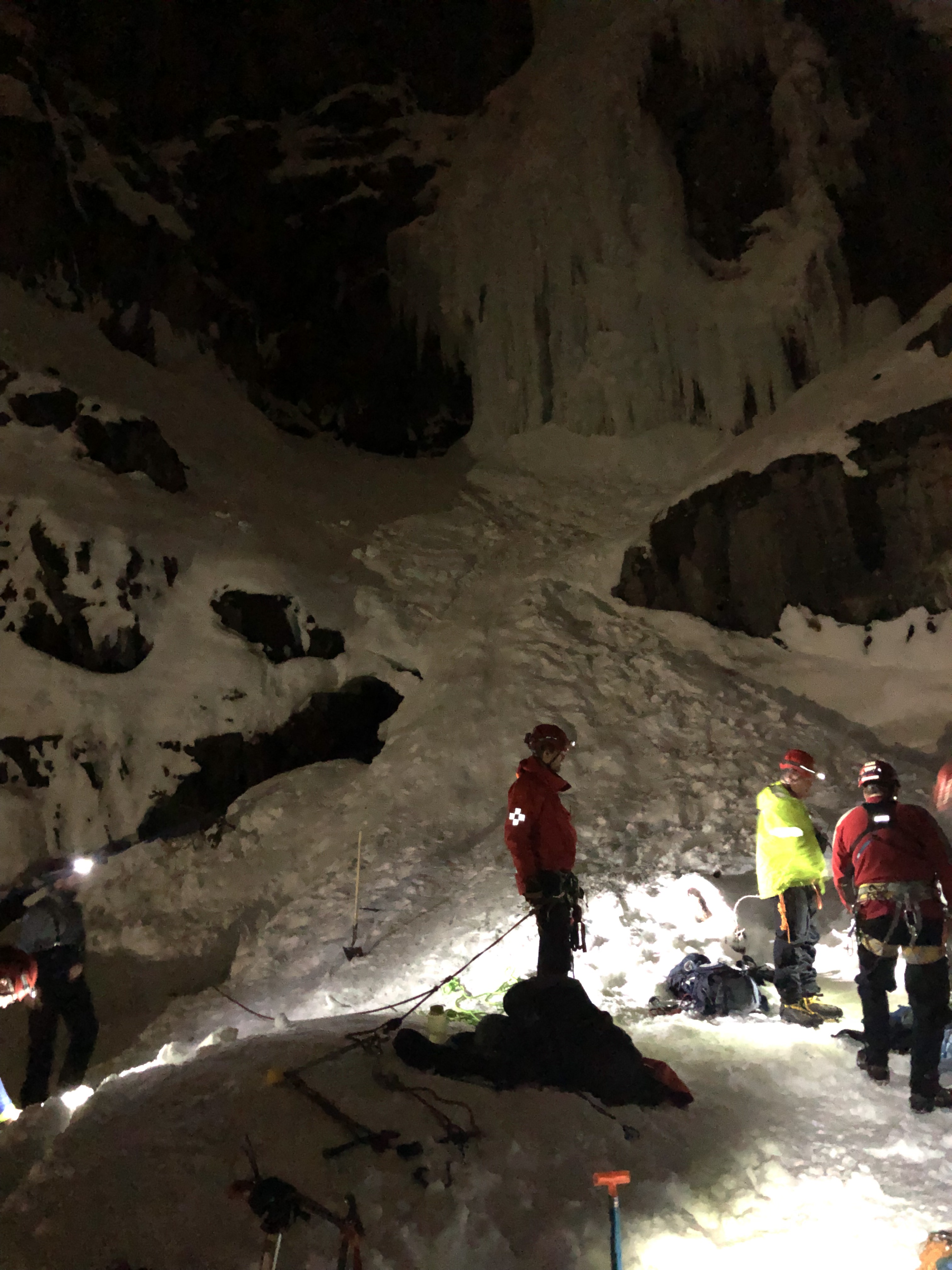 A dog is rescued from the snow