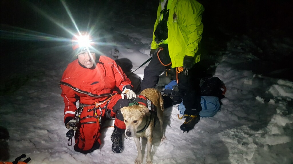 Beeroo the dog after being rescued from the snow