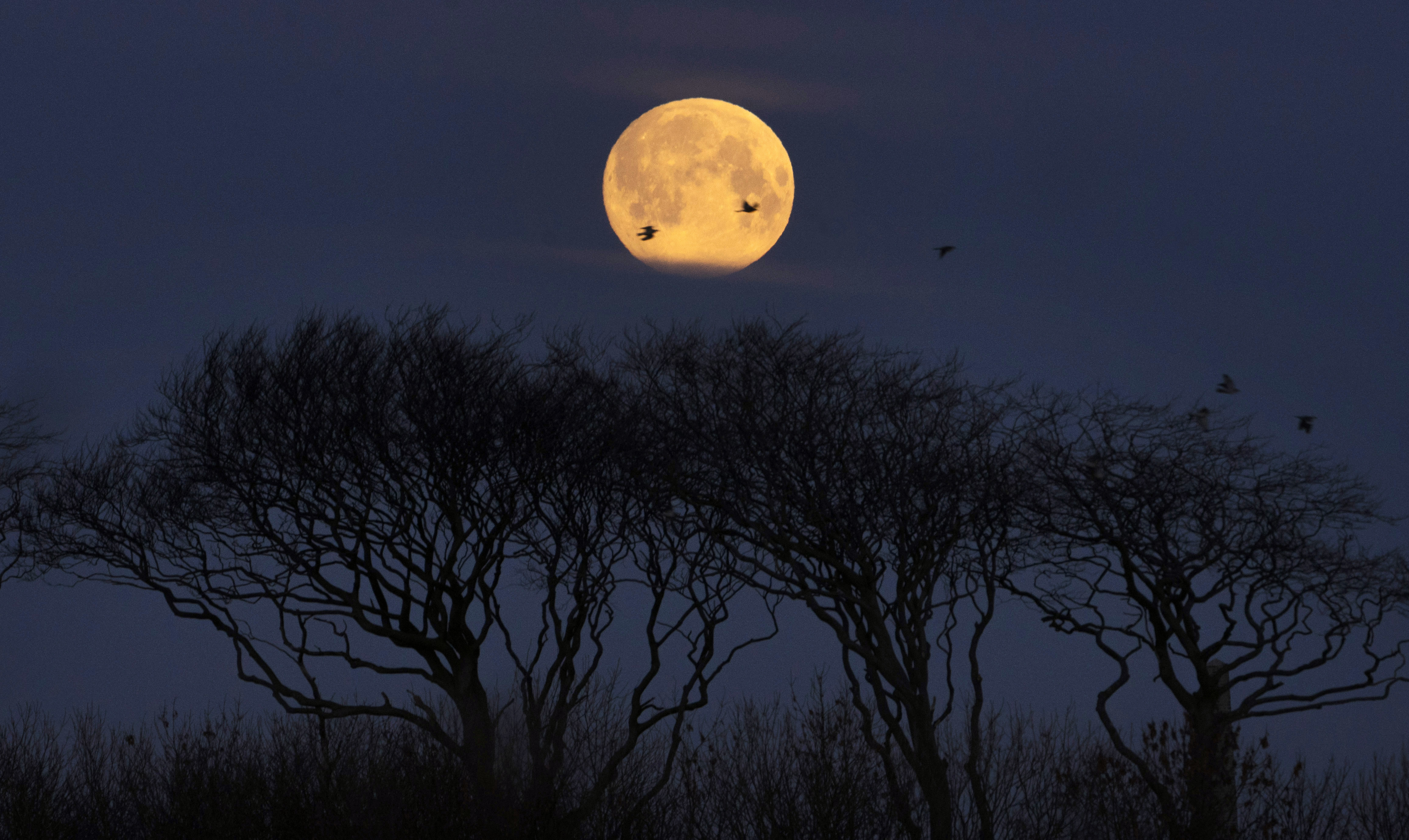 The moon near Whitley Bay, North Tyneside