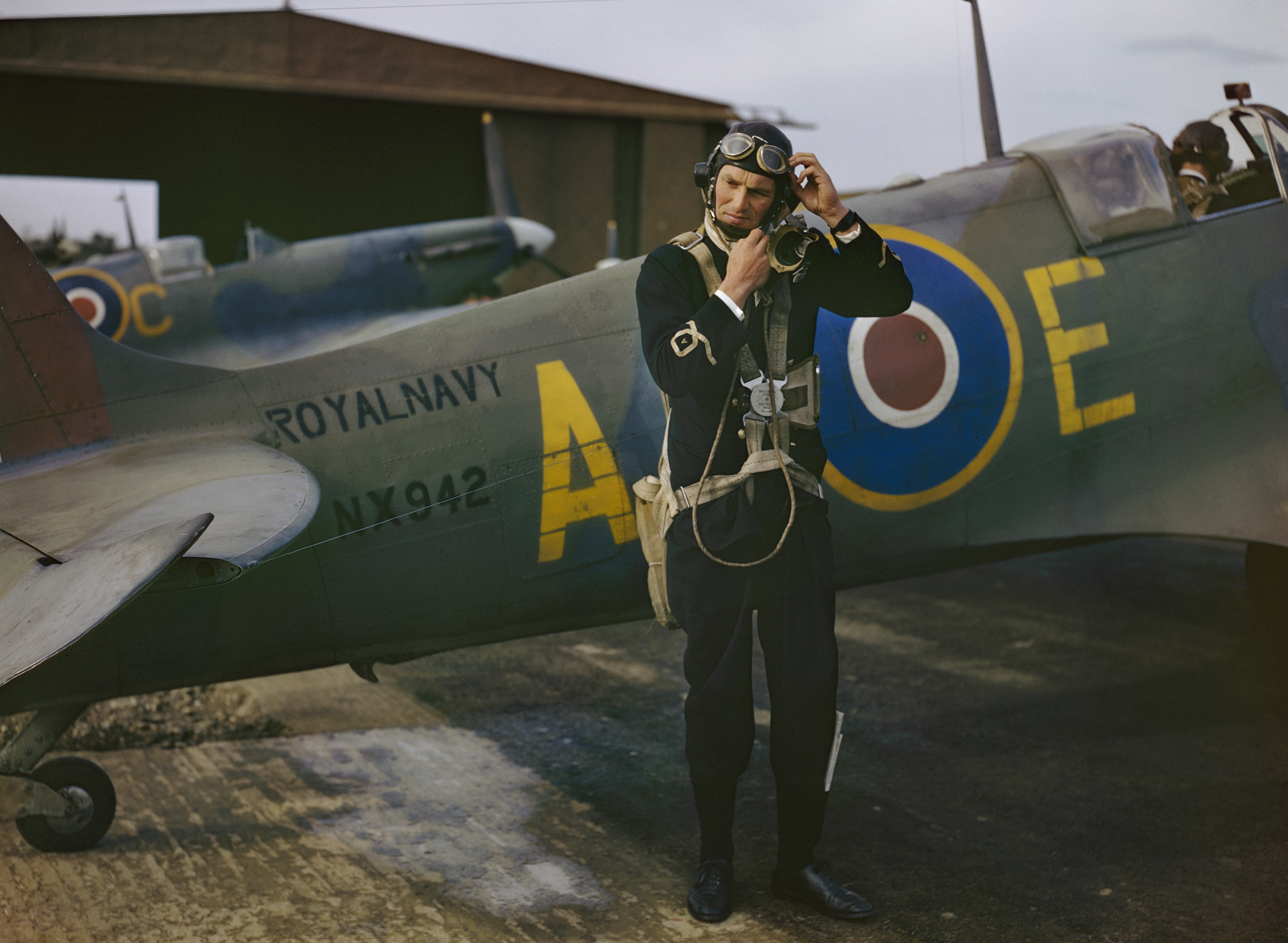 Sub-Lieutenant Harold Salisbury prepares for a sortie in Supermarine Seafire Mk Ib NX942 ‘AC-E’ of 736 Naval Air Squadron at RNAS Yeovilton, September 1943 (IWM/PA)