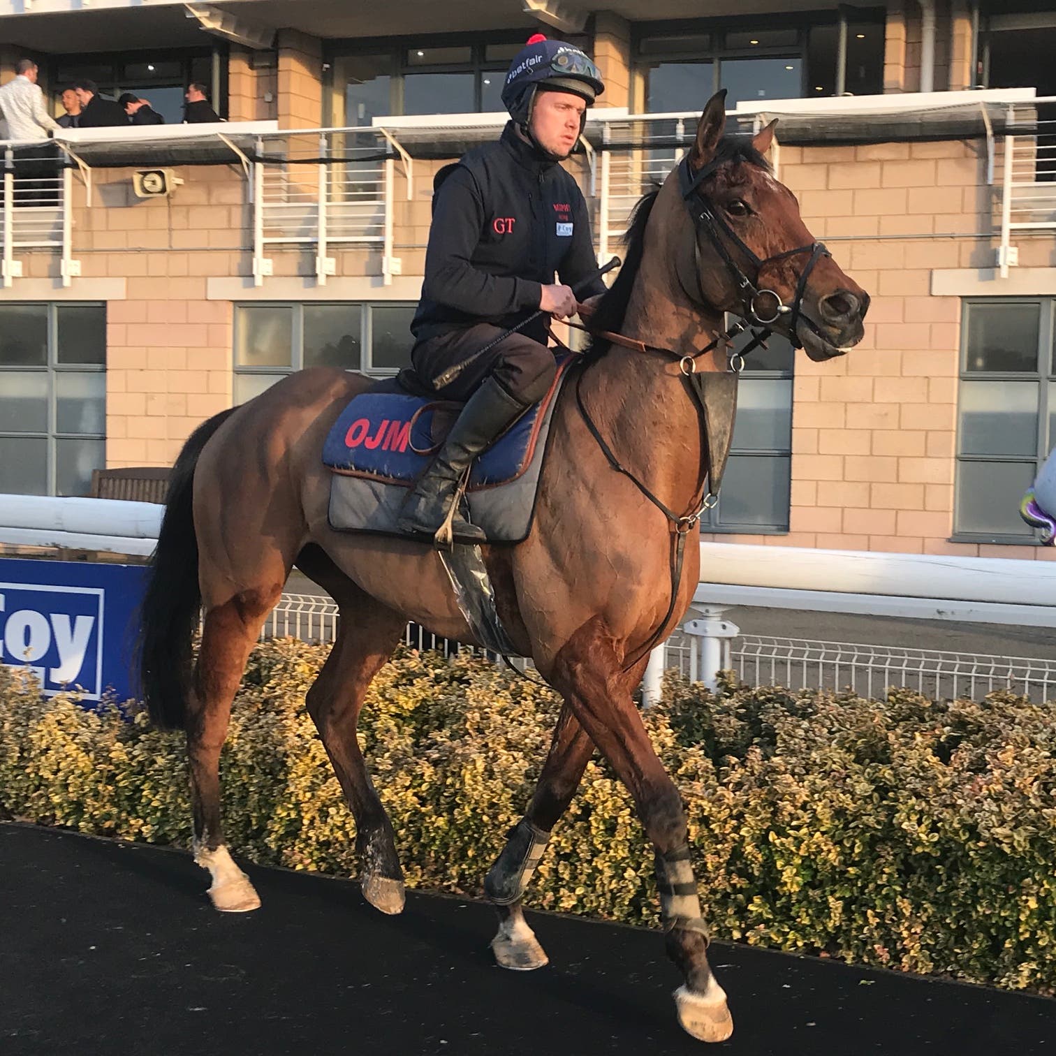 Brewin’upastorm will head to the Ballymore at Cheltenham