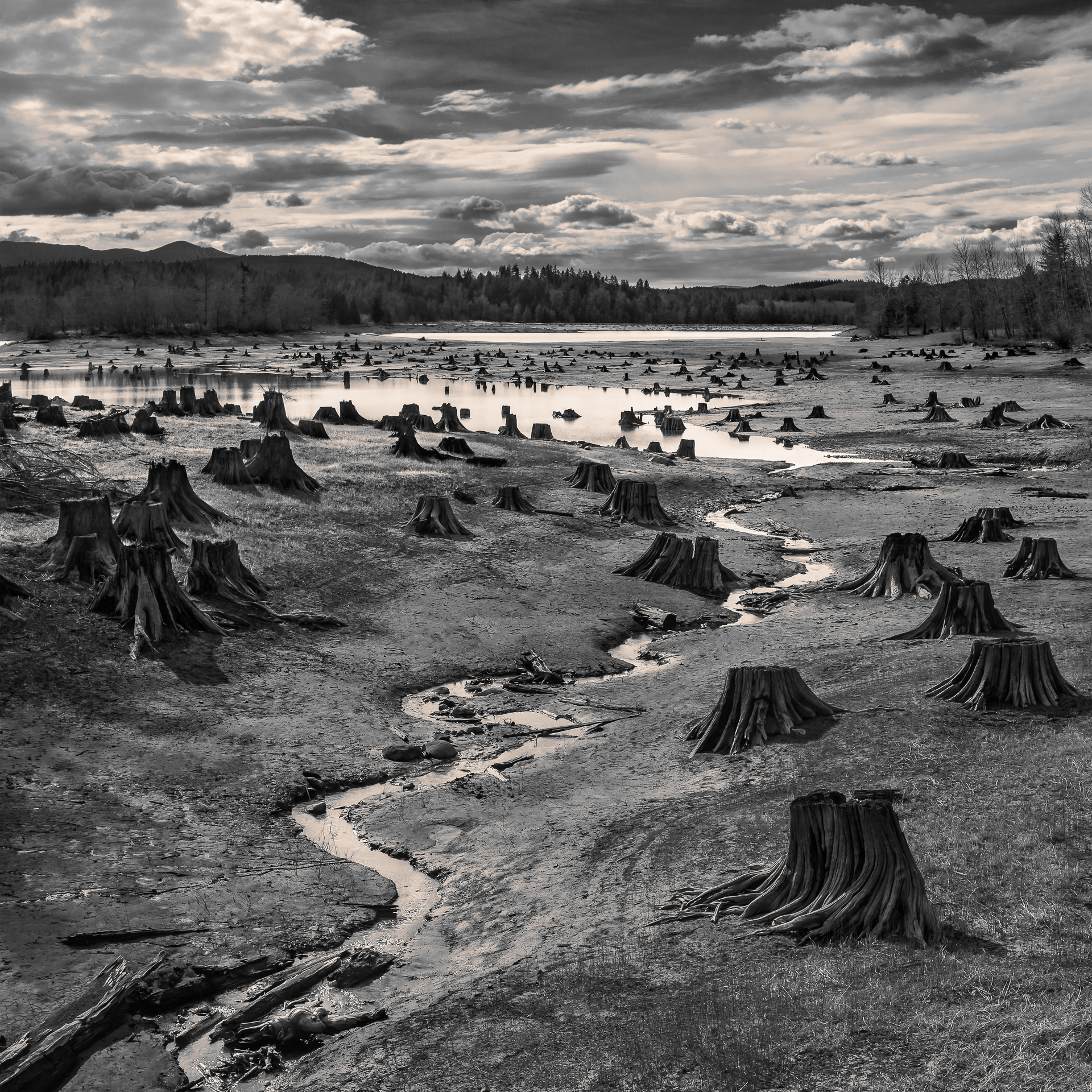 Stumps Exposed, Hal Gage