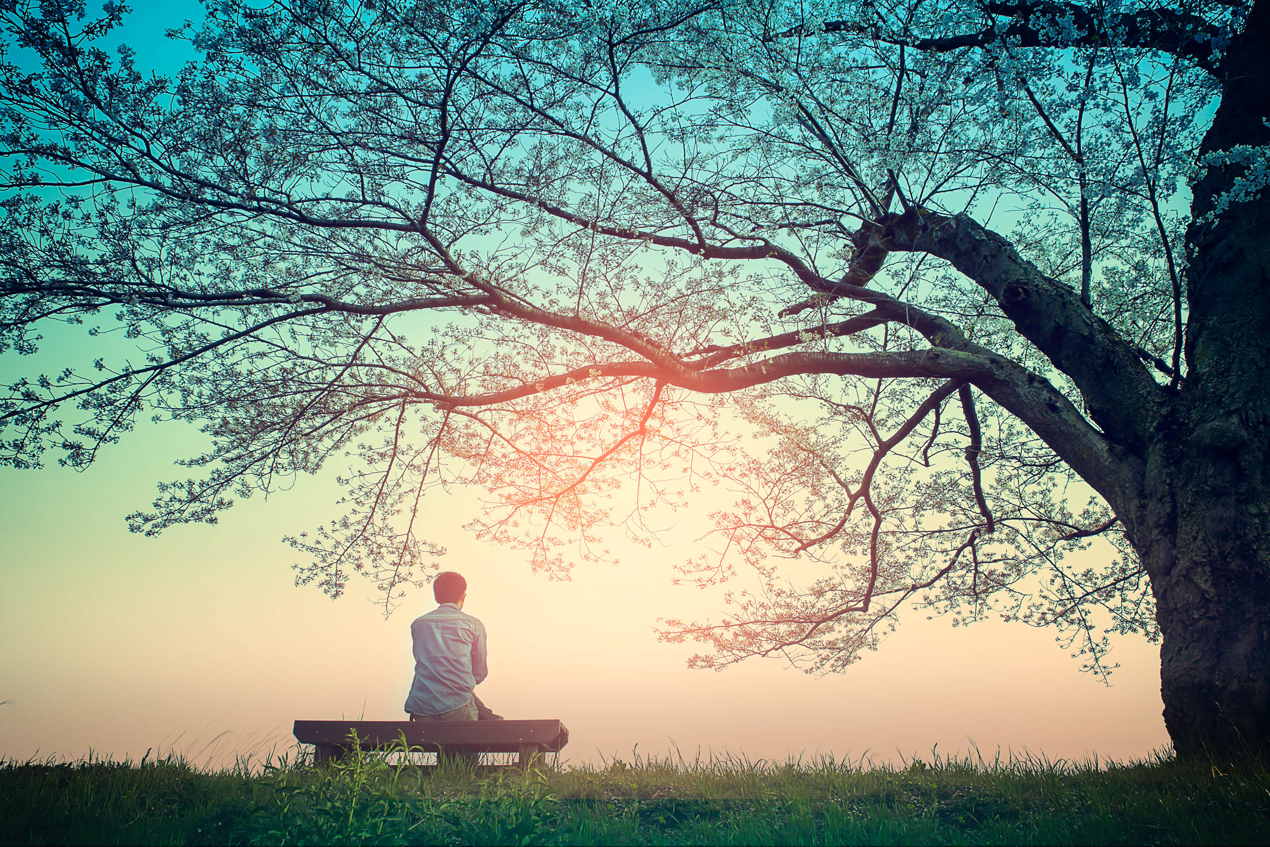 A man sitting on a bench alone 