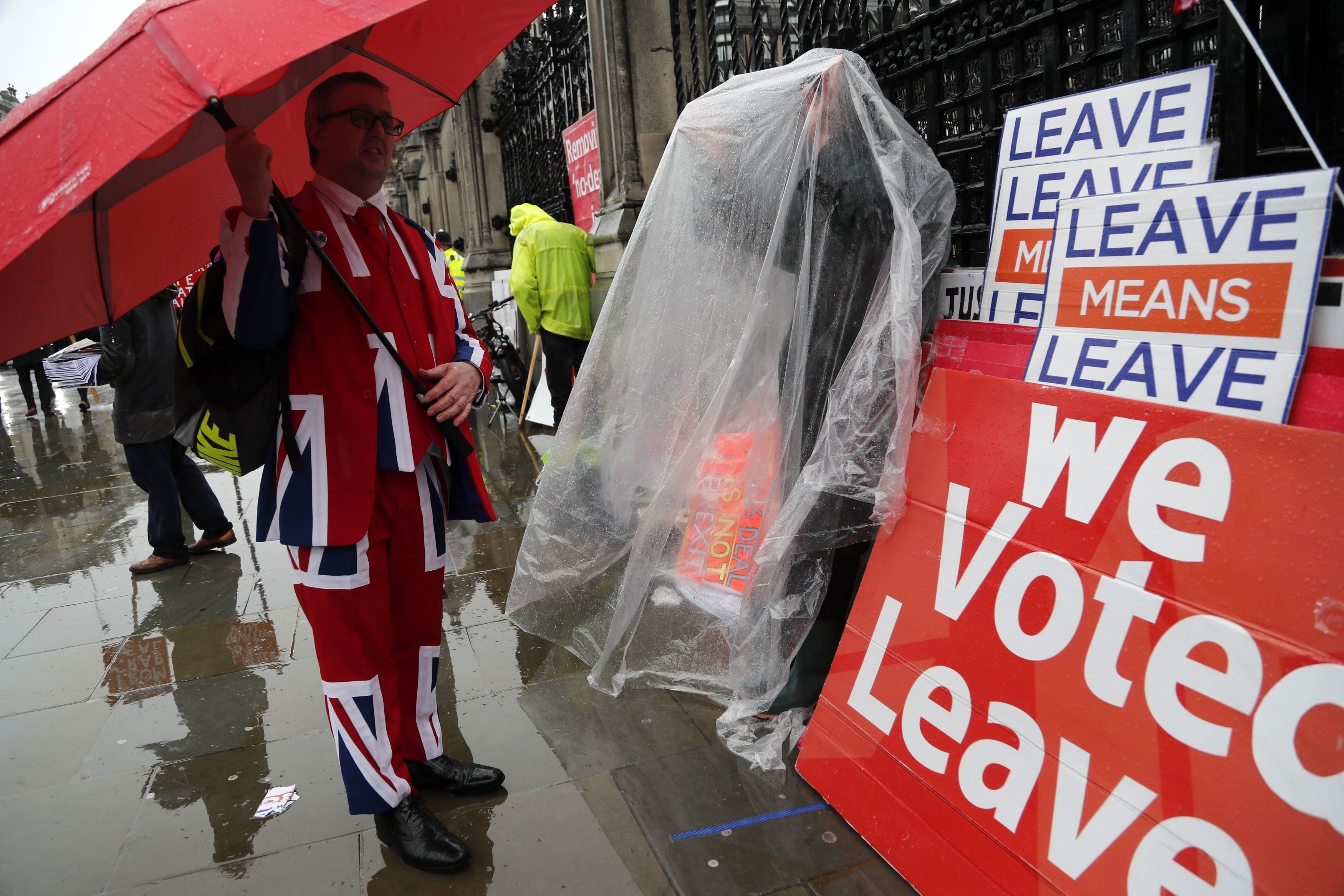 Brexit protester