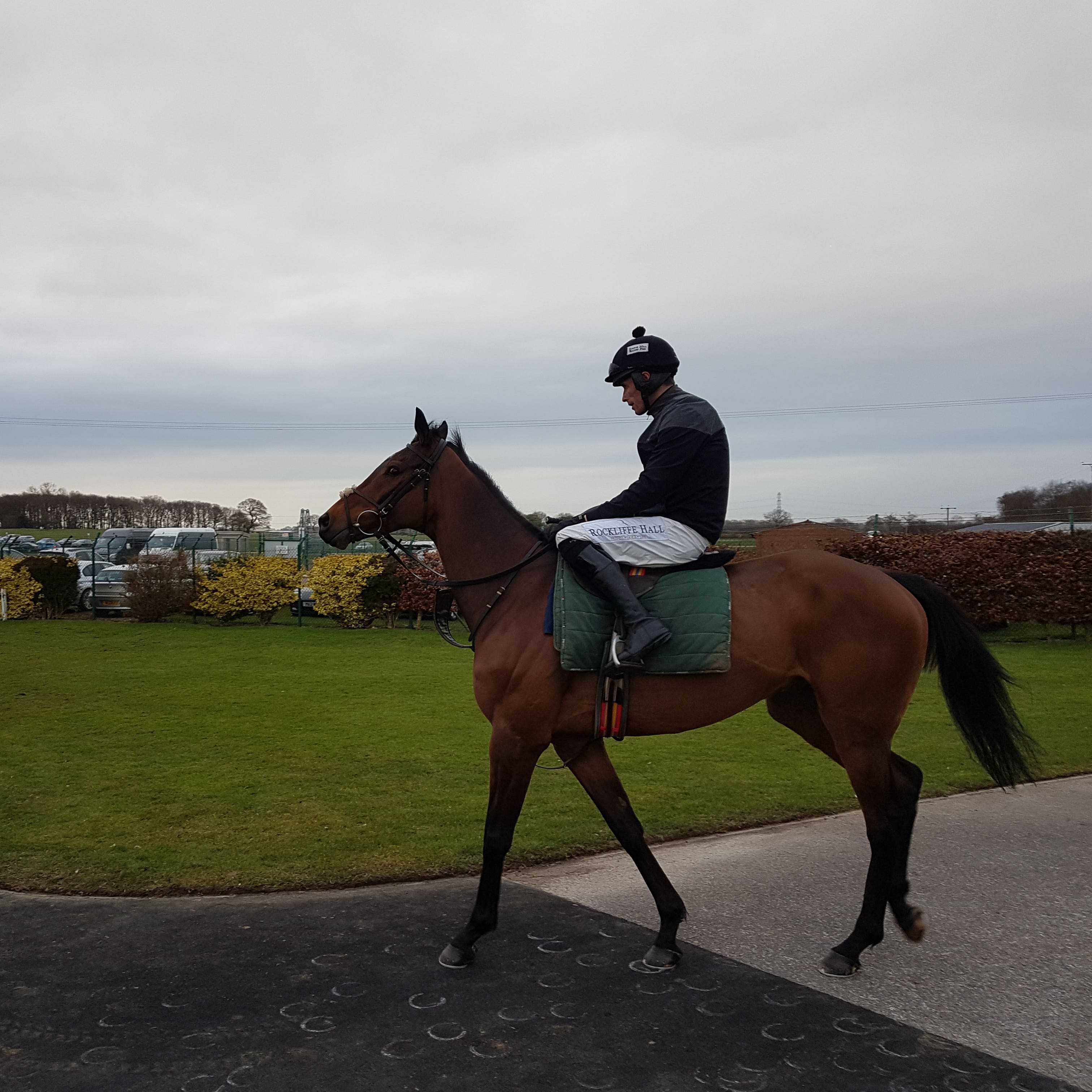 Blaklion heads out for his racecourse gallop with big-race pilot Sean Quinlan