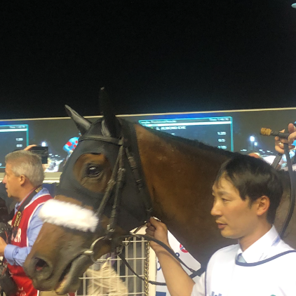 Almond Eye after winning the Dubai Turf at Meydan