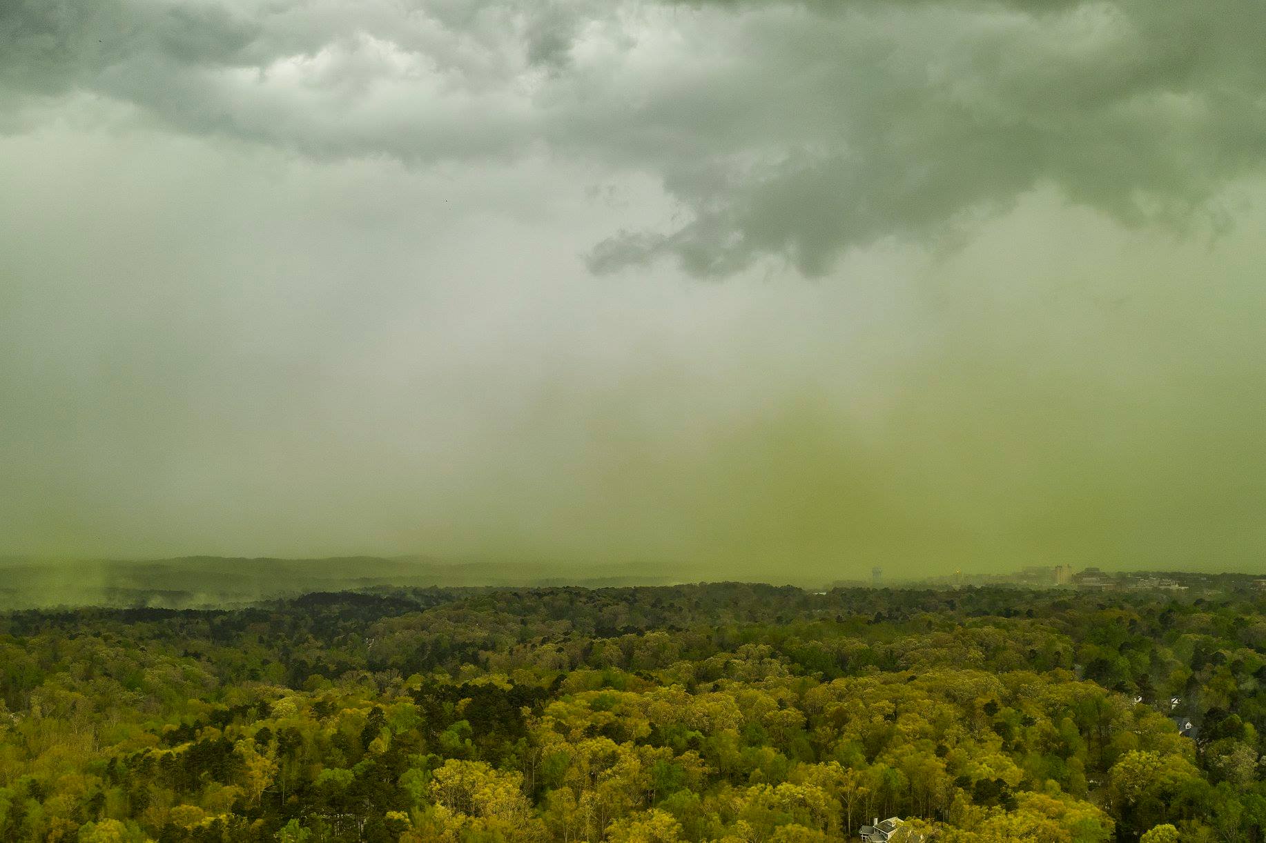 Photographer captures amazing pictures of pollen cloud engulfing city
