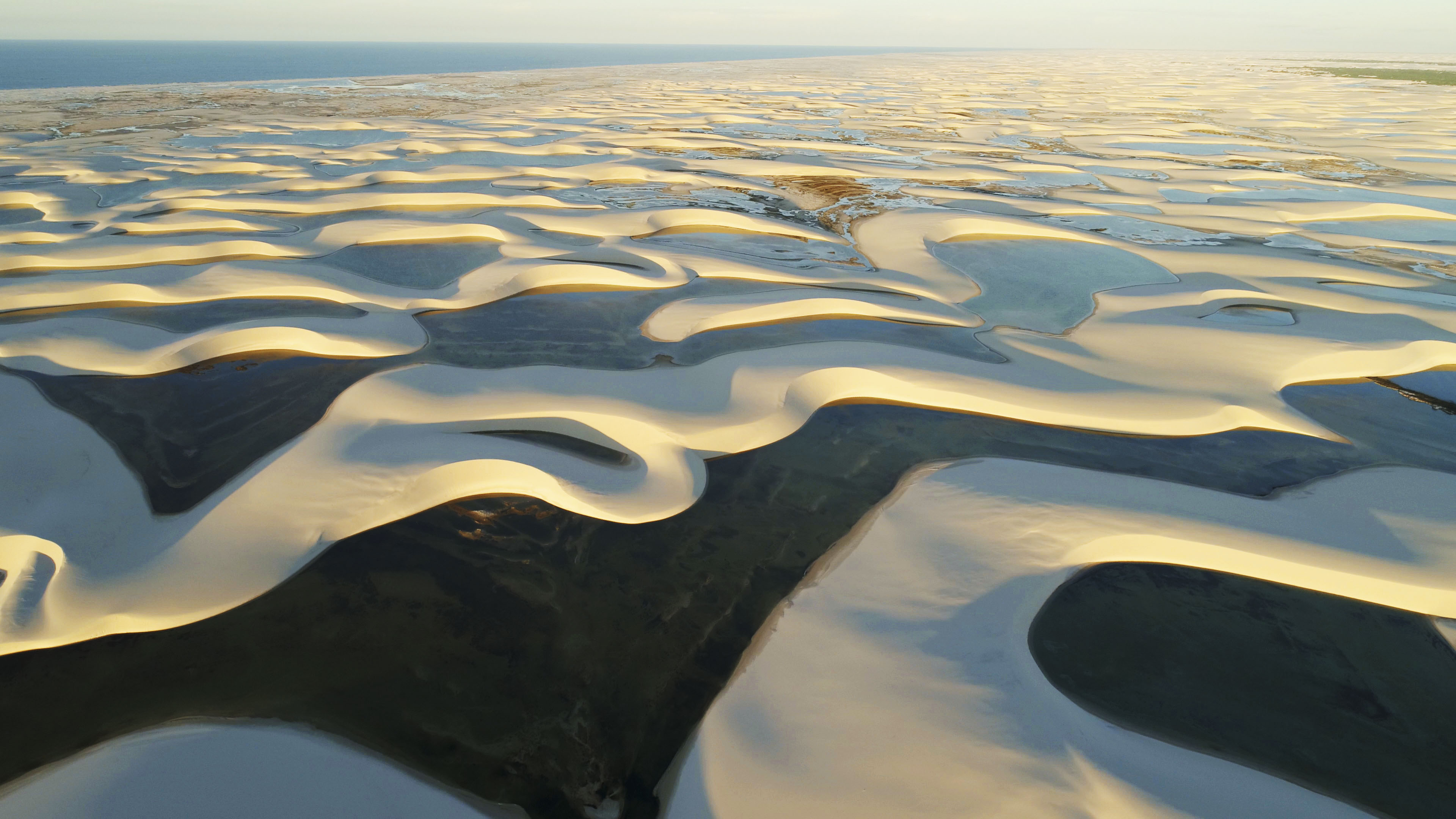 The Lencois Maranhenses National Park, Brazil. These dunes and pools are hunting grounds for the stripey paninga turtle (BBC/PA)