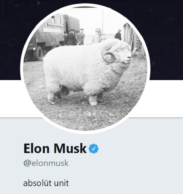 Elon Musk's profile on Twitter