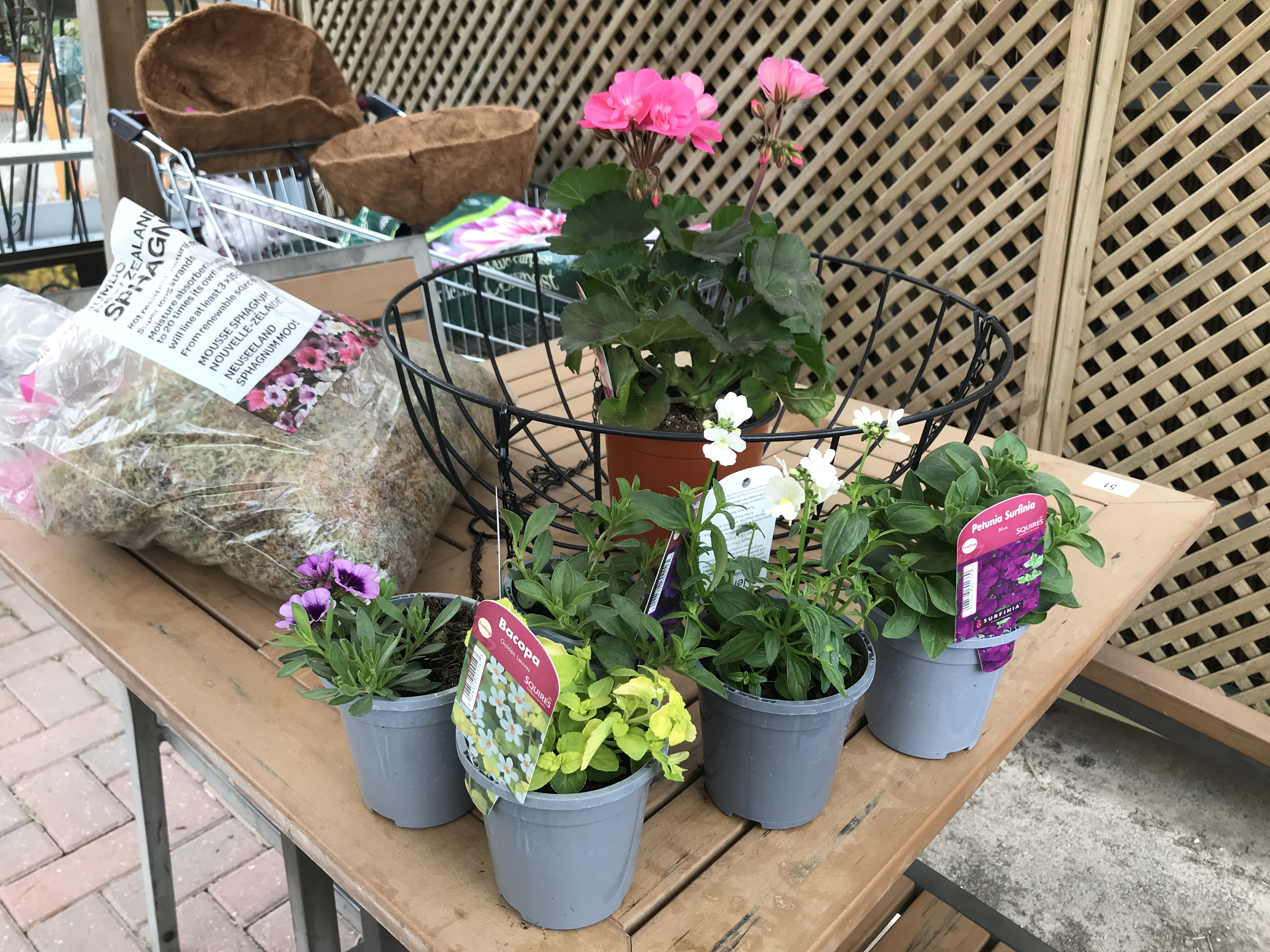 hanging basket plants and materials (Hannah Stephenson/PA)