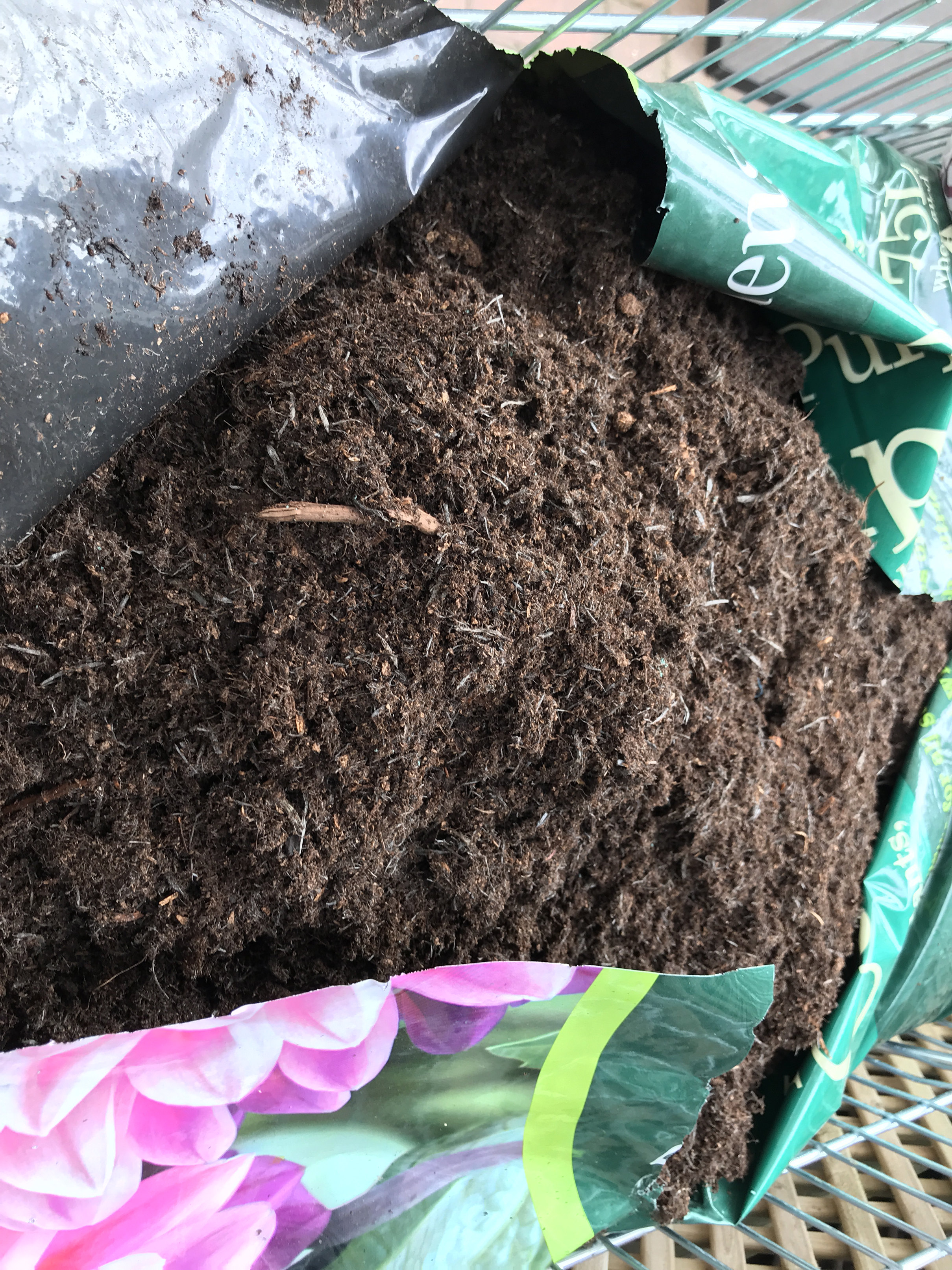 multipurpose compost (Hannah Stephenson/PA)