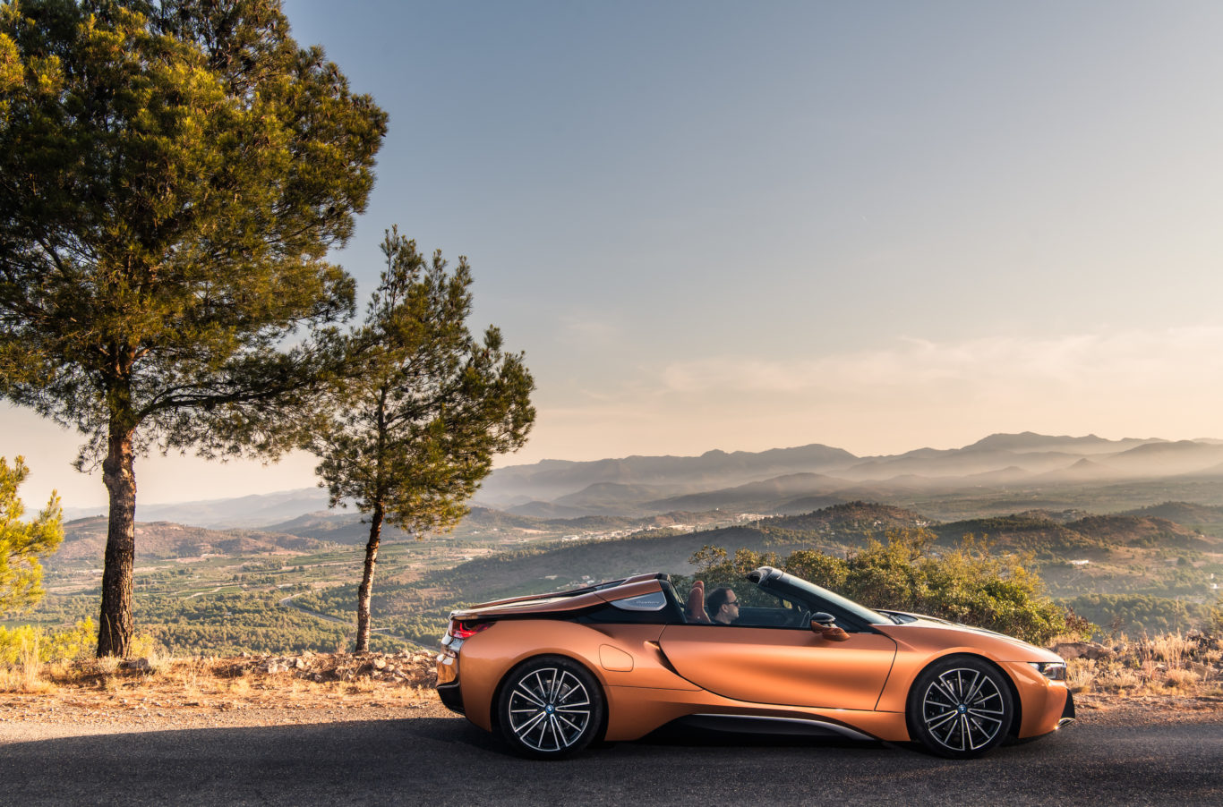 The car's sleek lines are unspoilt by the lack of a roof