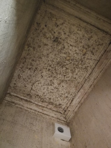 Mouldy ceiling
