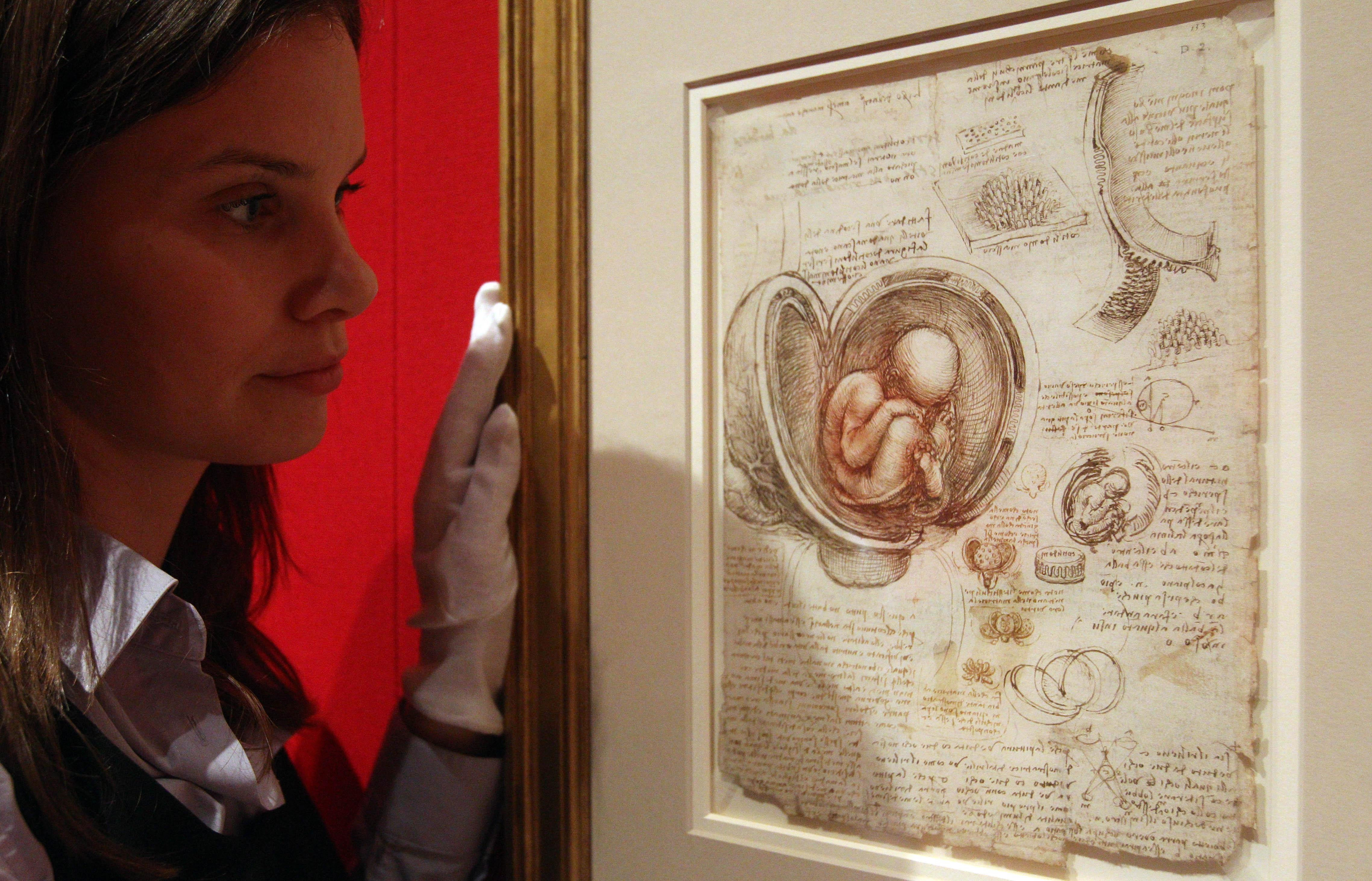 Leonardo - study of a fetus