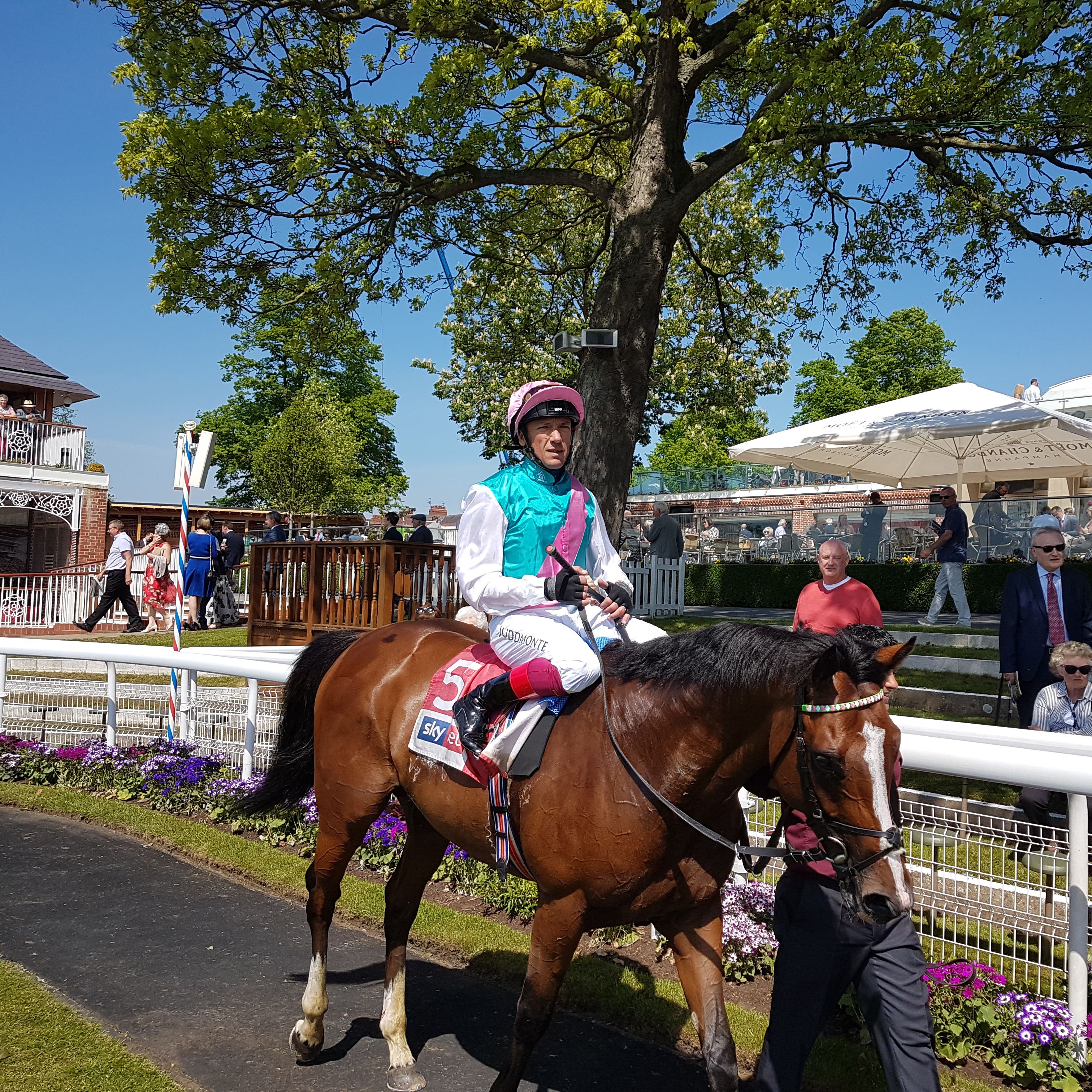 First Eleven established his Ebor claims at York