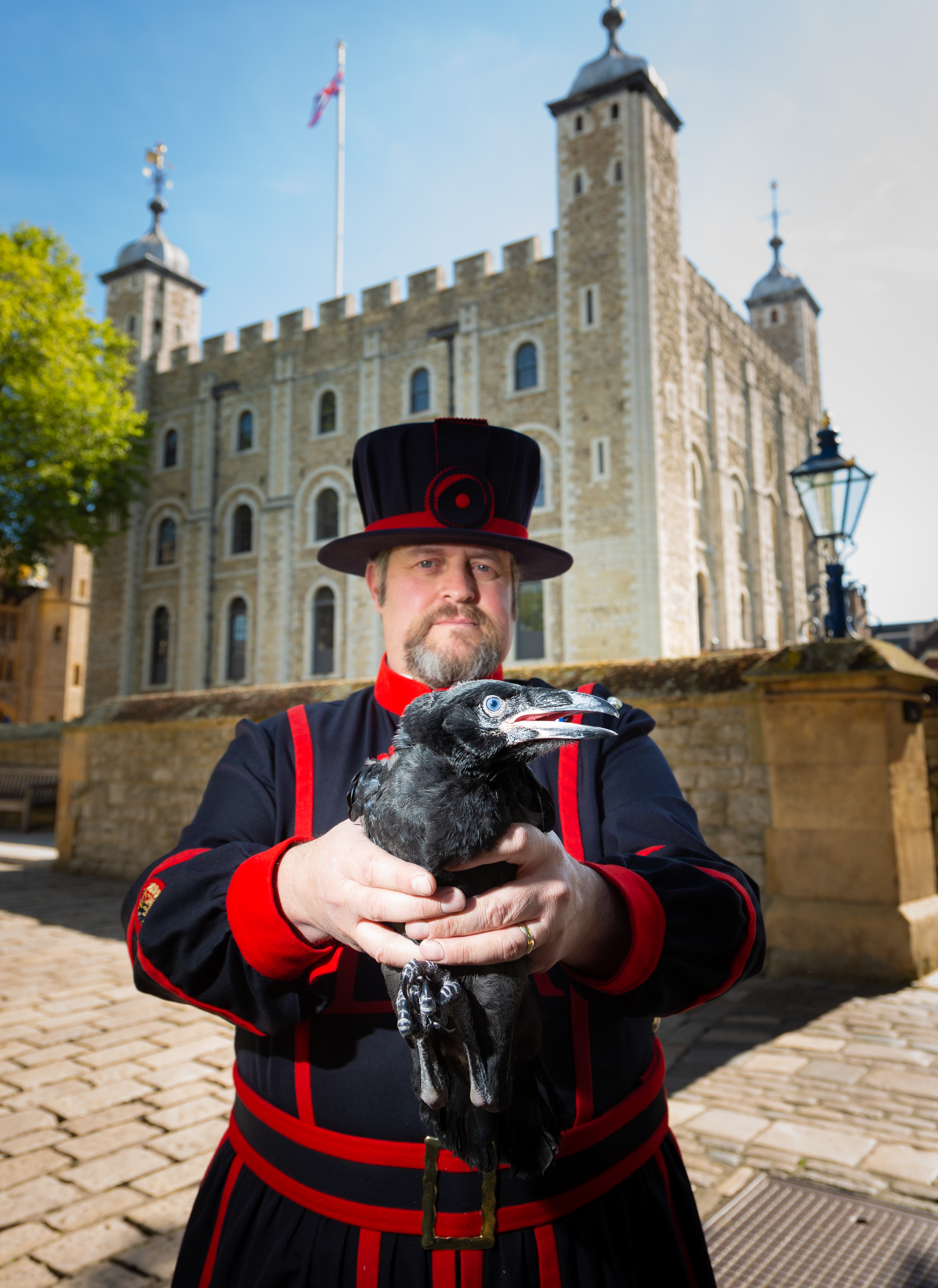 Handout photo issued by Historic Royal Palaces of Tower of London Ravenmaster Chris Skaife holding one of the first ravens to be born at the Tower in 30 years