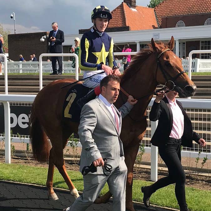 Daayeh looked a Royal Ascot prospect in winning at Newmarket