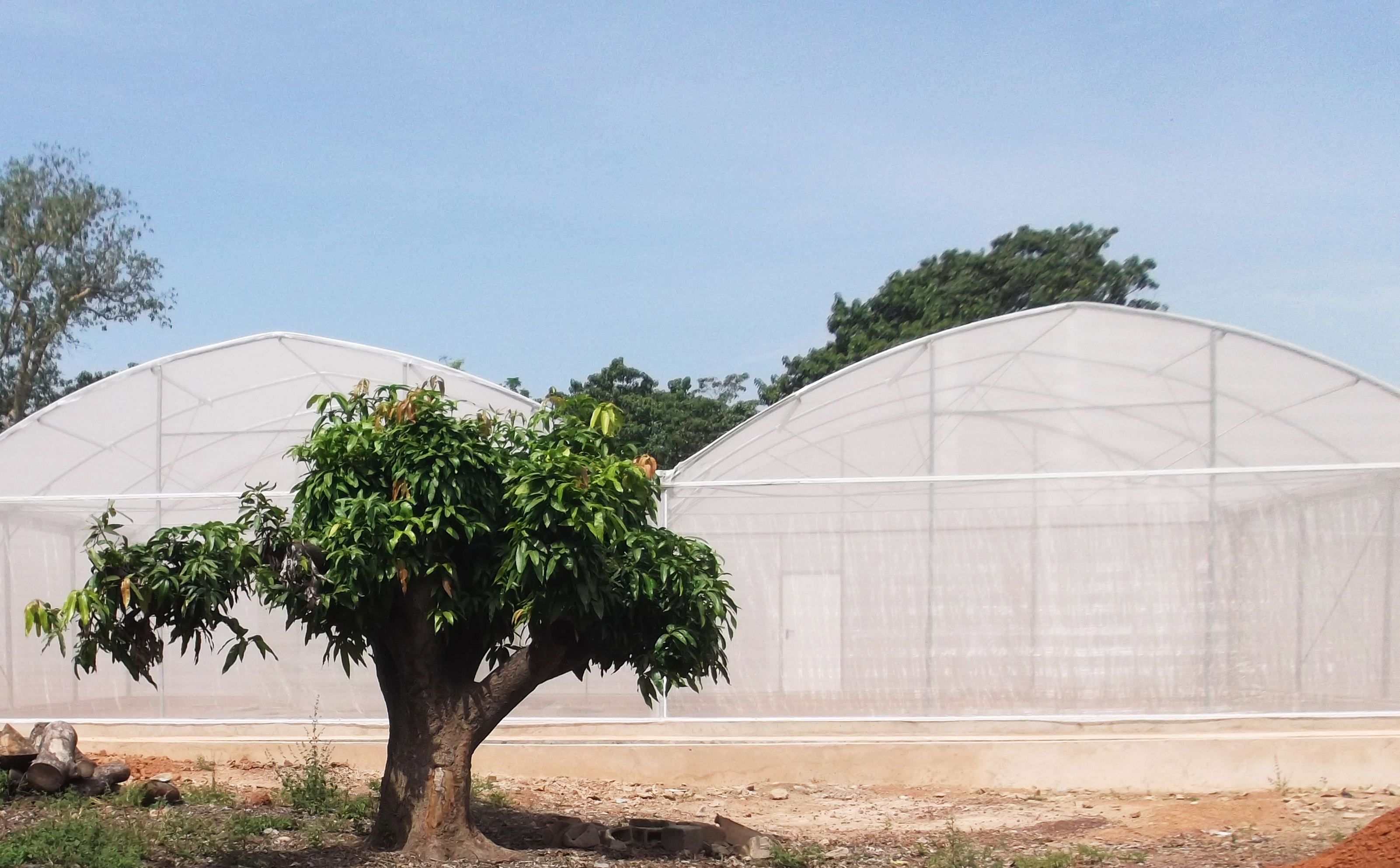 The MosquitoSphere was designed to simulate a village setting (Etienne Bilgo/PA) 