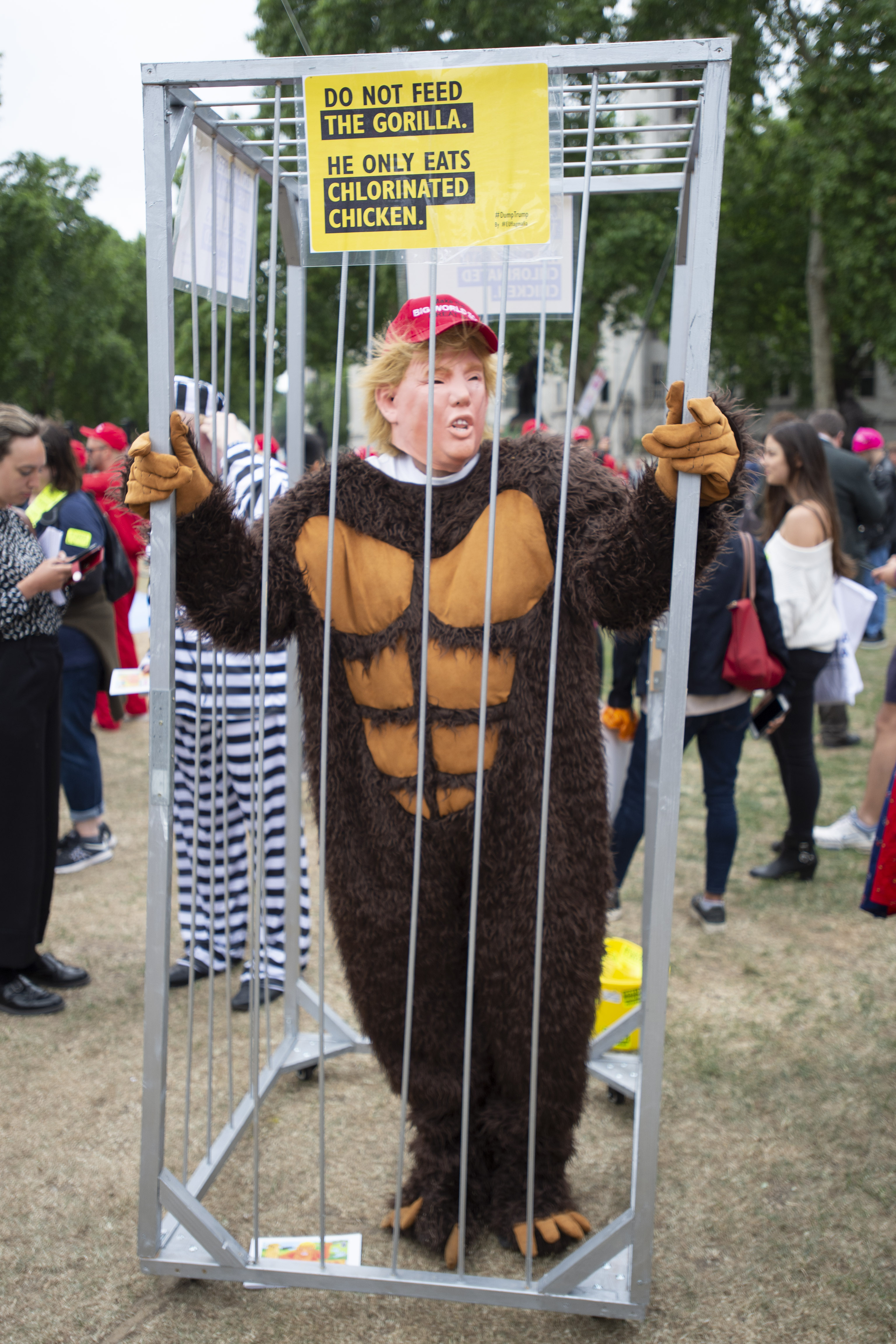 A man protests Donald Trump with a gorilla costume