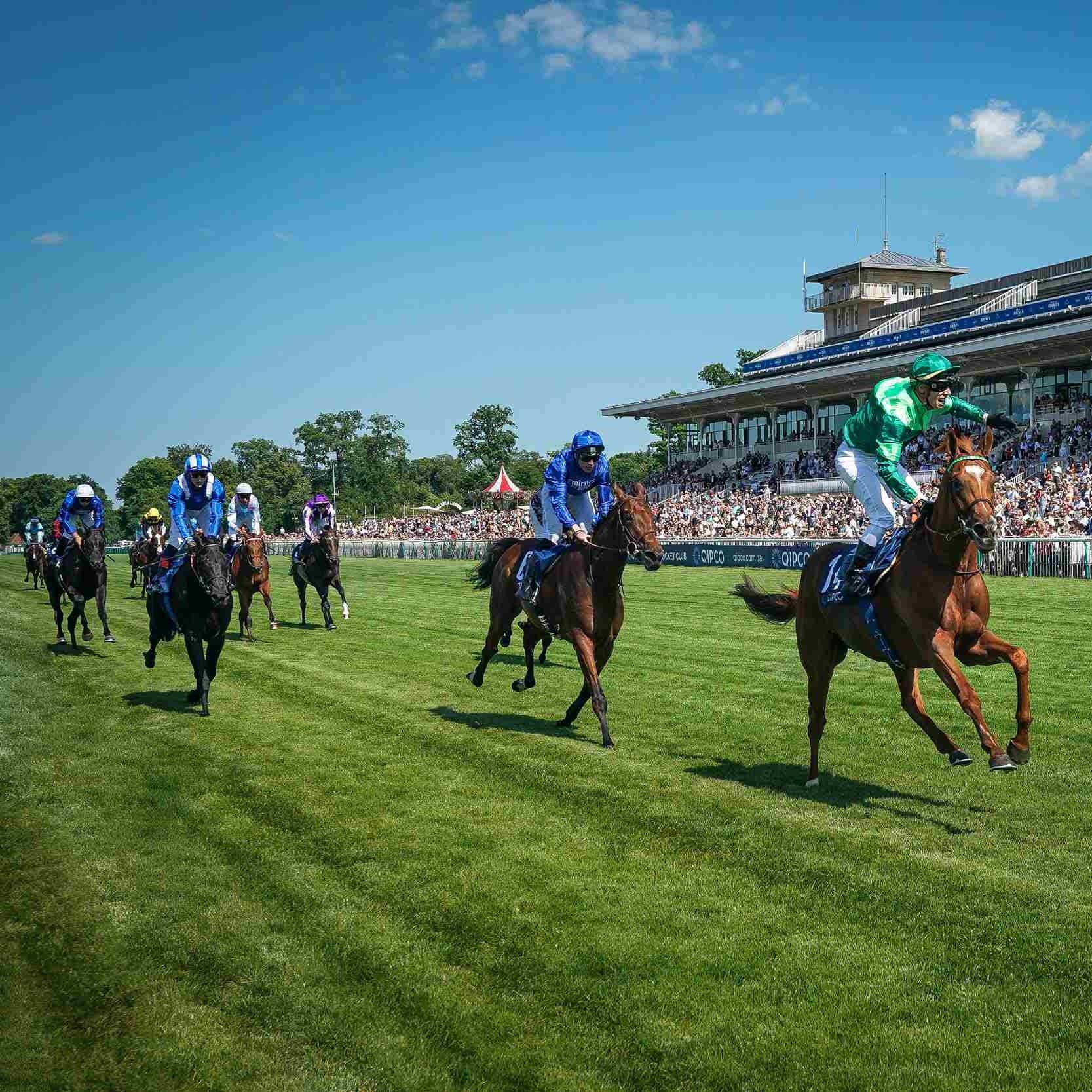 Motamarris (right, blue and white cap) ran a good race in the French Derby