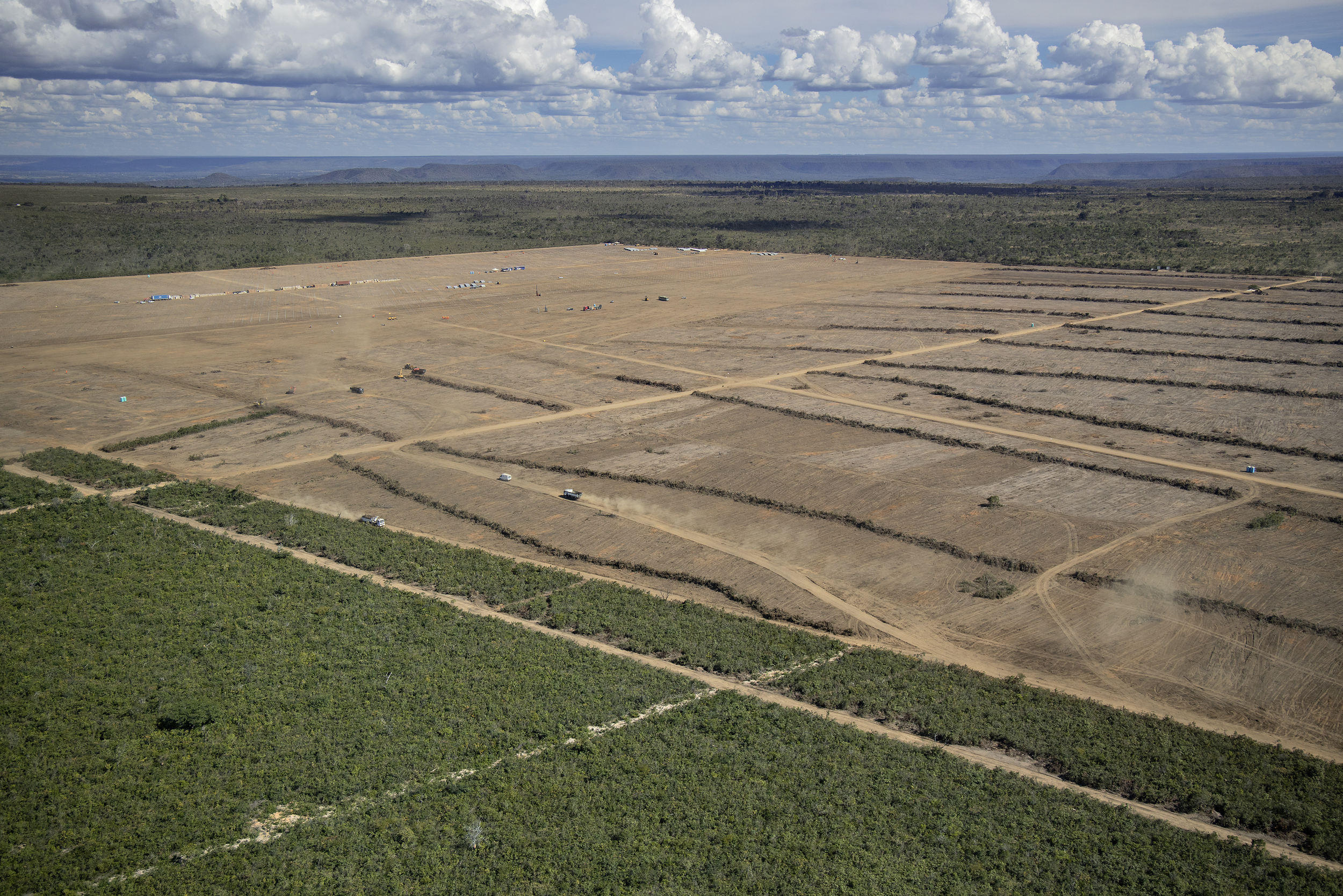 Areas of Brazil's Cerrado have been deforested for soy production (Marizilda Cruppe/Greenpeace/PA)