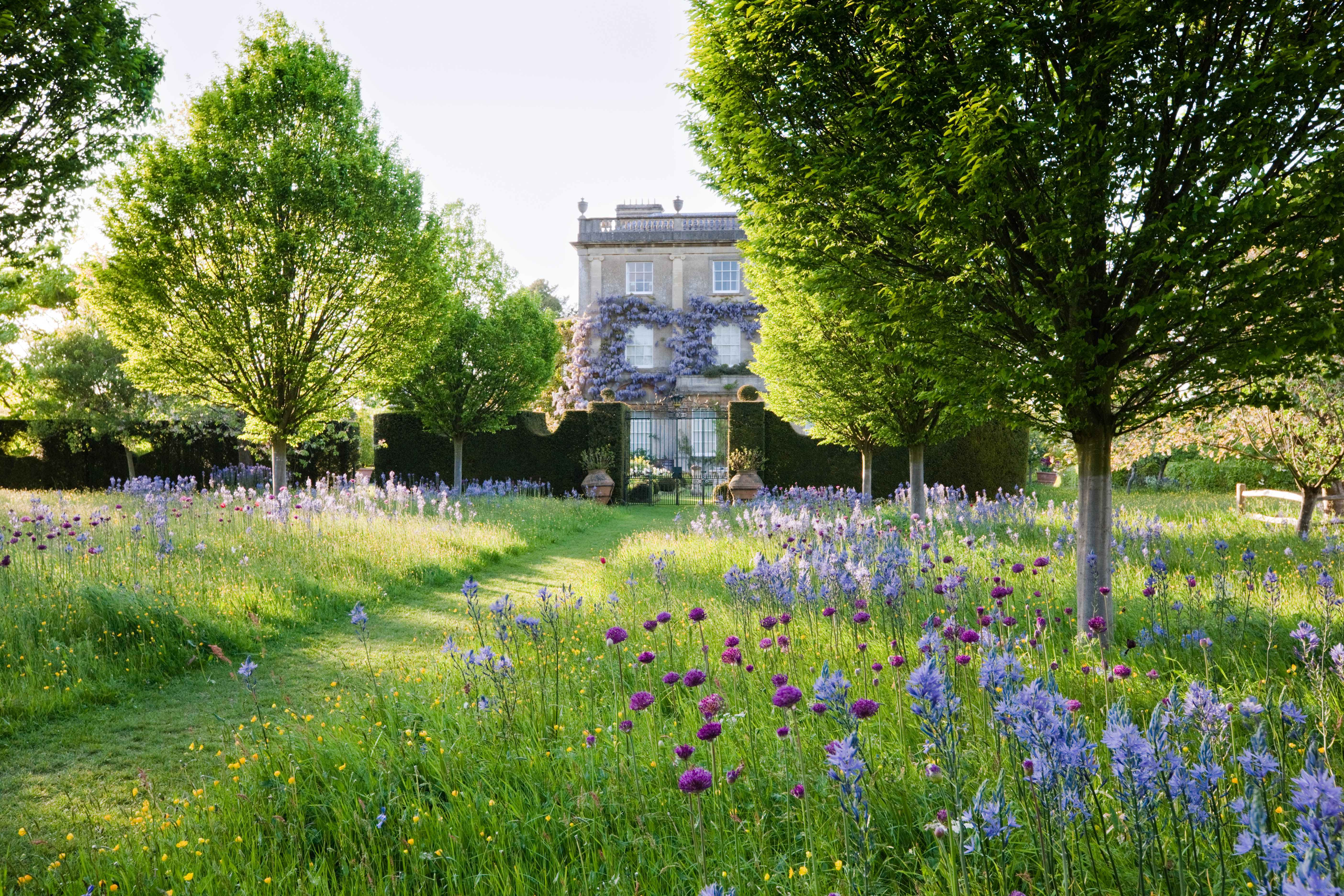 The Wild Flower Meadow at Highgrove