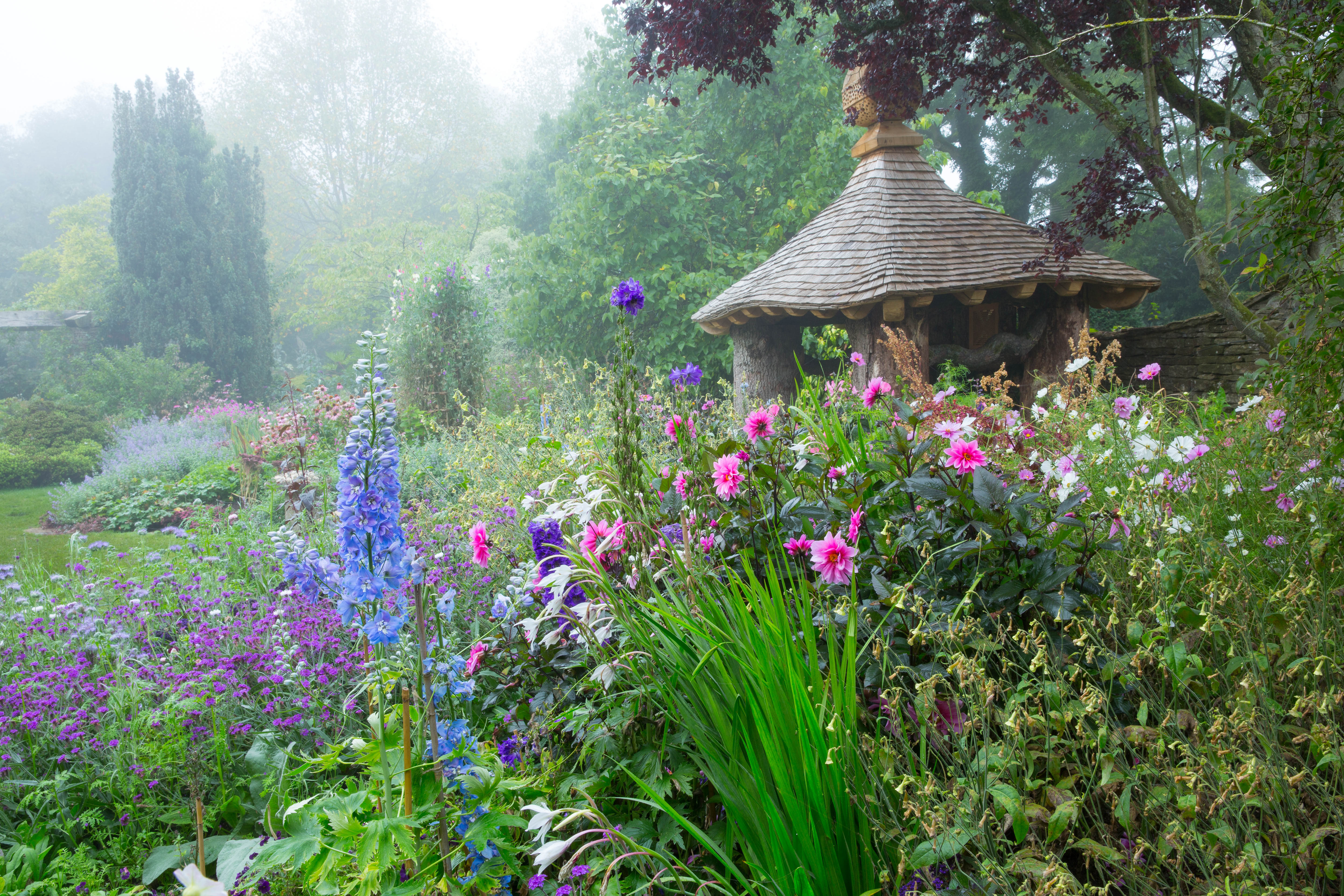 The Cottage Garden 