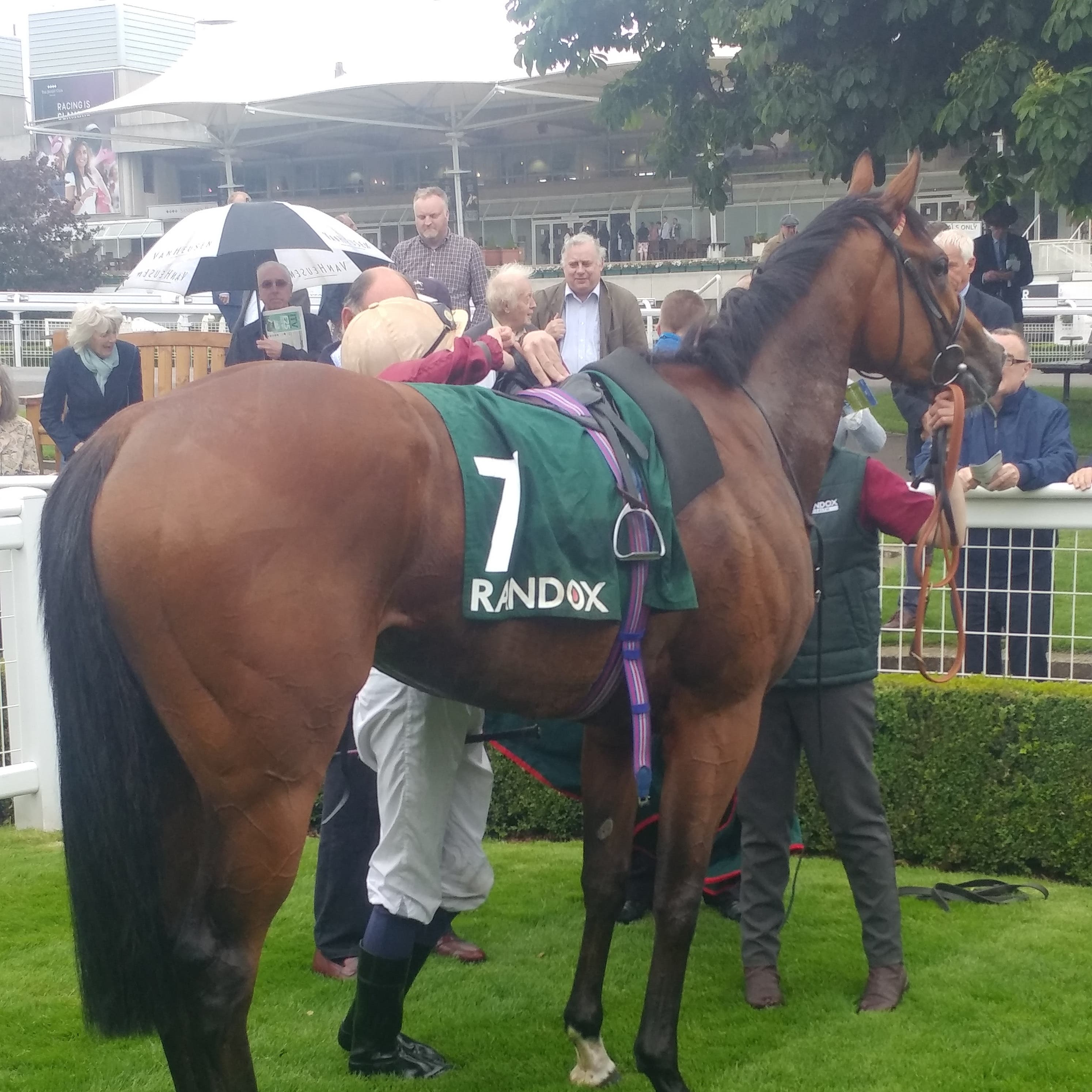 Kurious returns victorious following the Scurry Stakes at Sandown