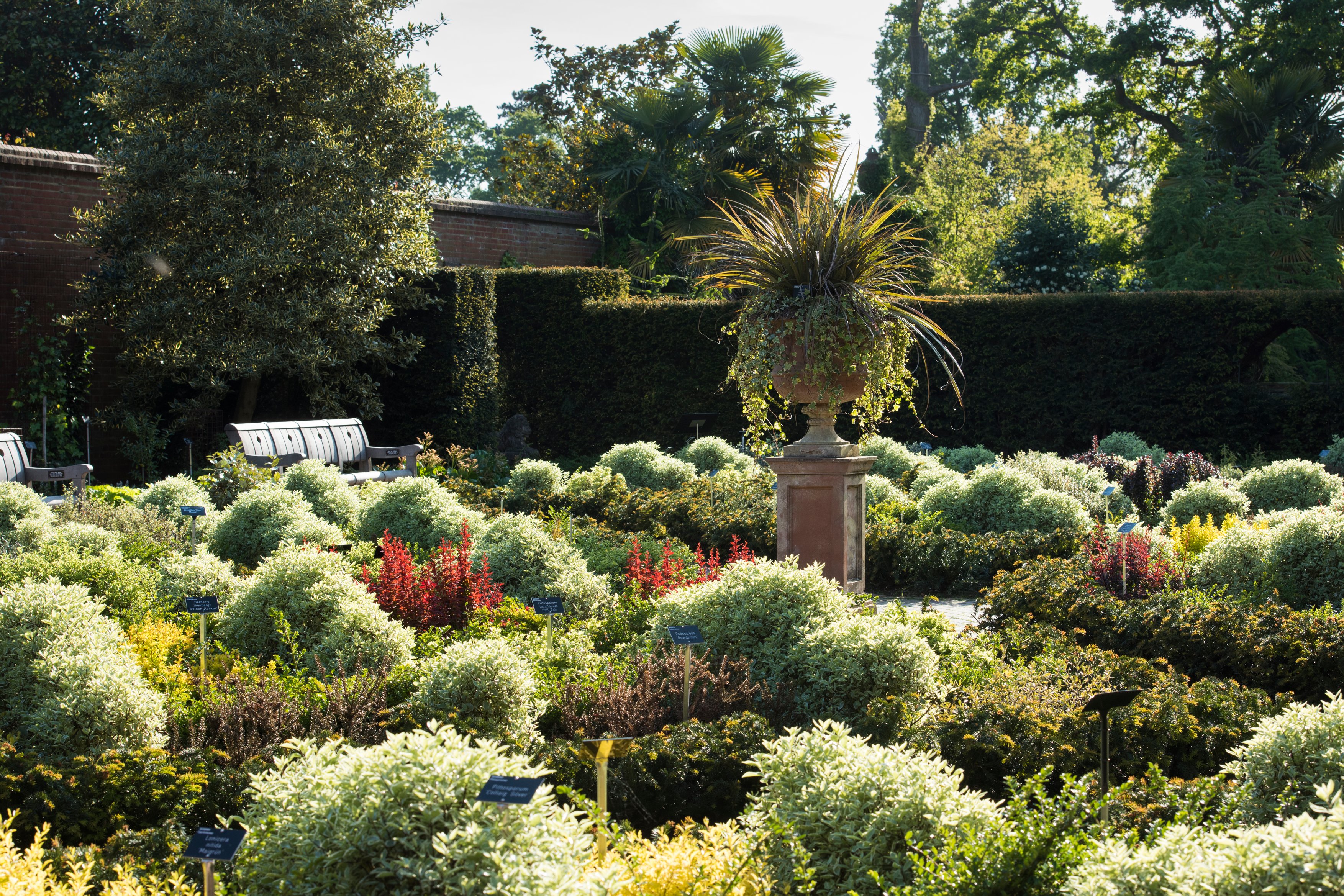 The Royal Horticultural Society has a garden at Wisley which focuses on alternatives to box (RHS/Joanna Kossak/PA)