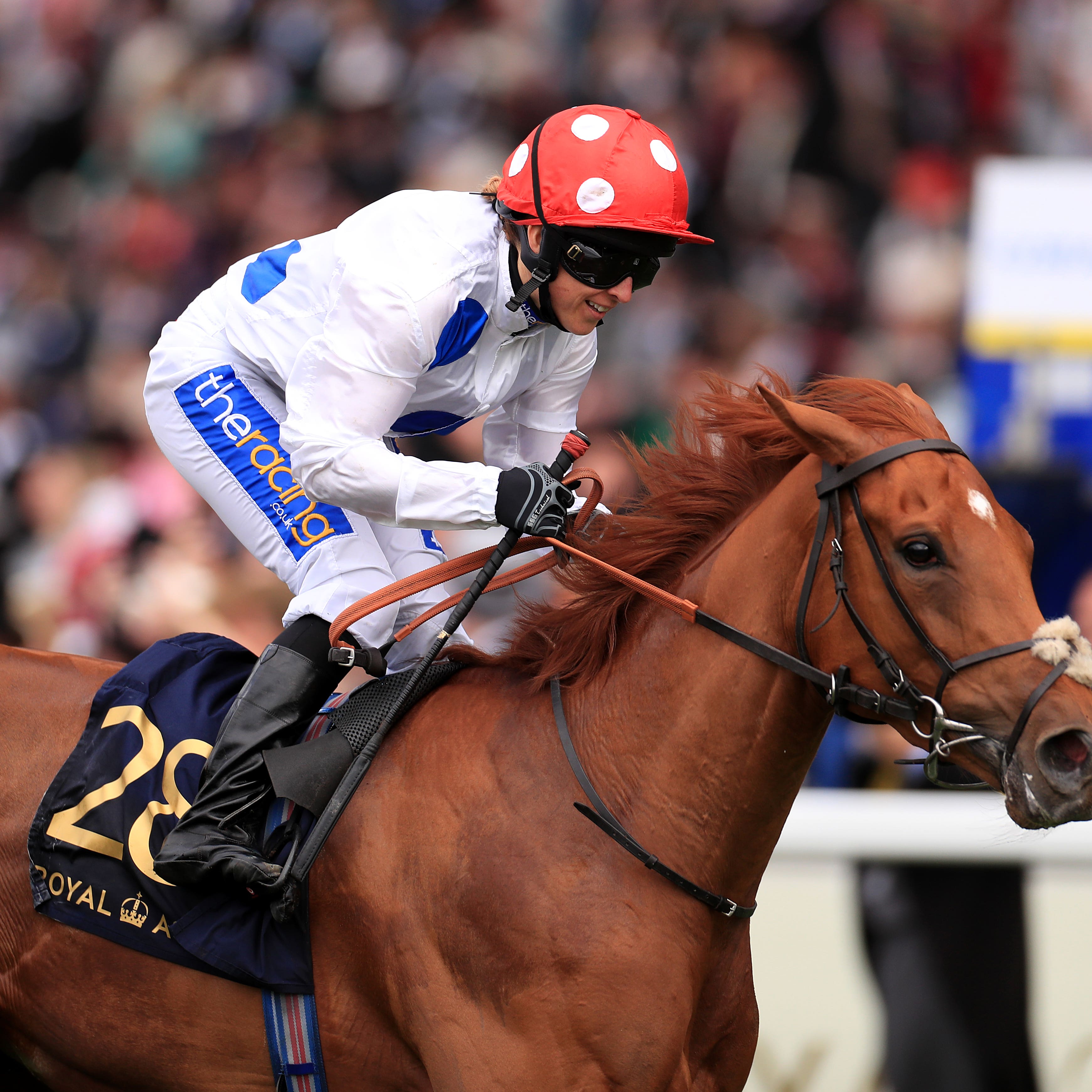 Thanks Be is off to the United States to continue her racing career