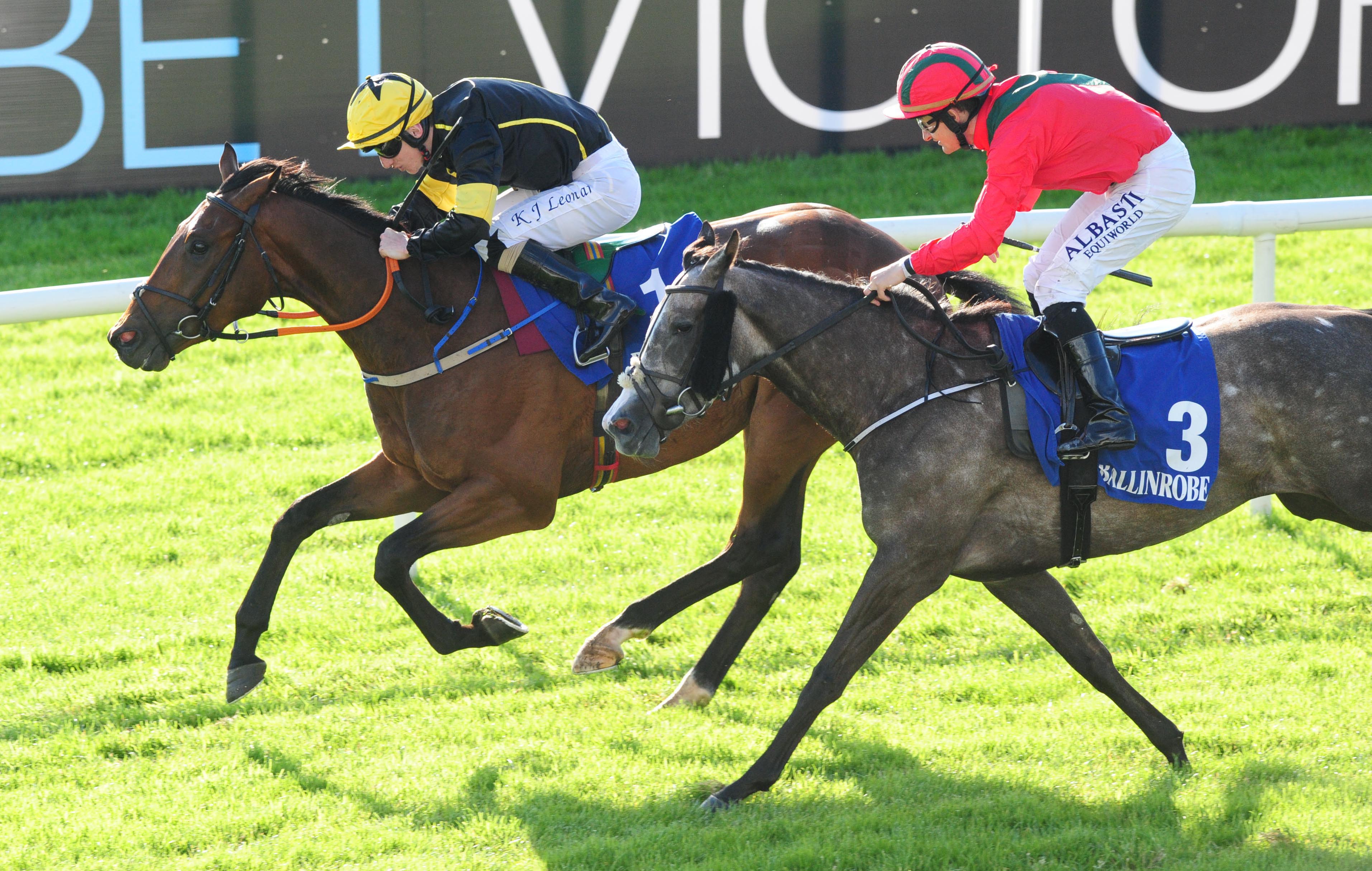 Search Toggle Navigation Display Site Search Horse Racing Ireland Cards Results Racecards Racing Tips Ground Reports Meeting Updates Race Results Results Archive Fixture List Cards Results Cards Results Racecourses Events Racecourses