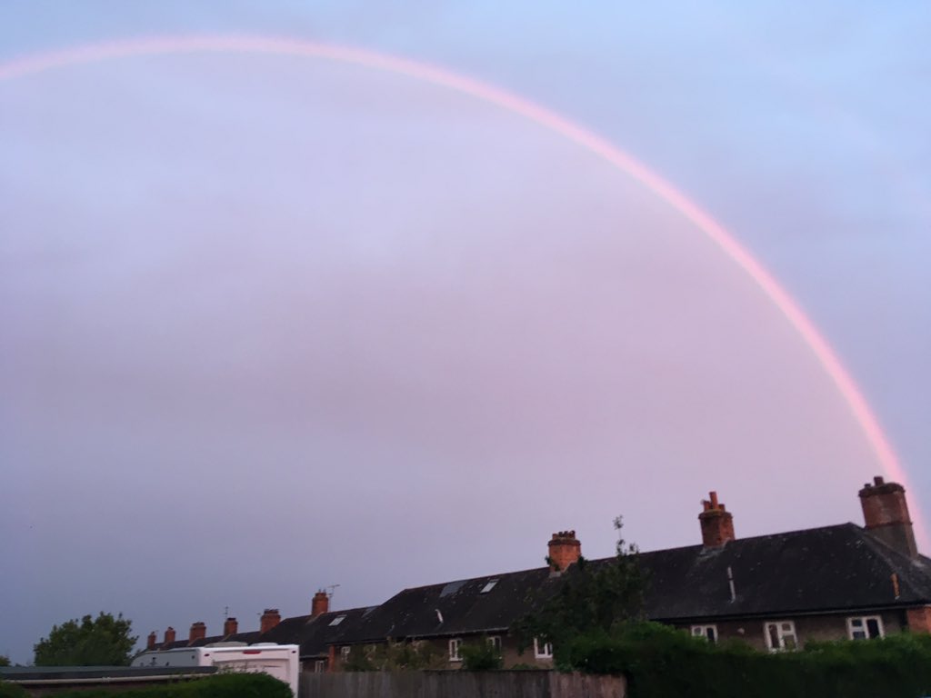 The pink rainbow.