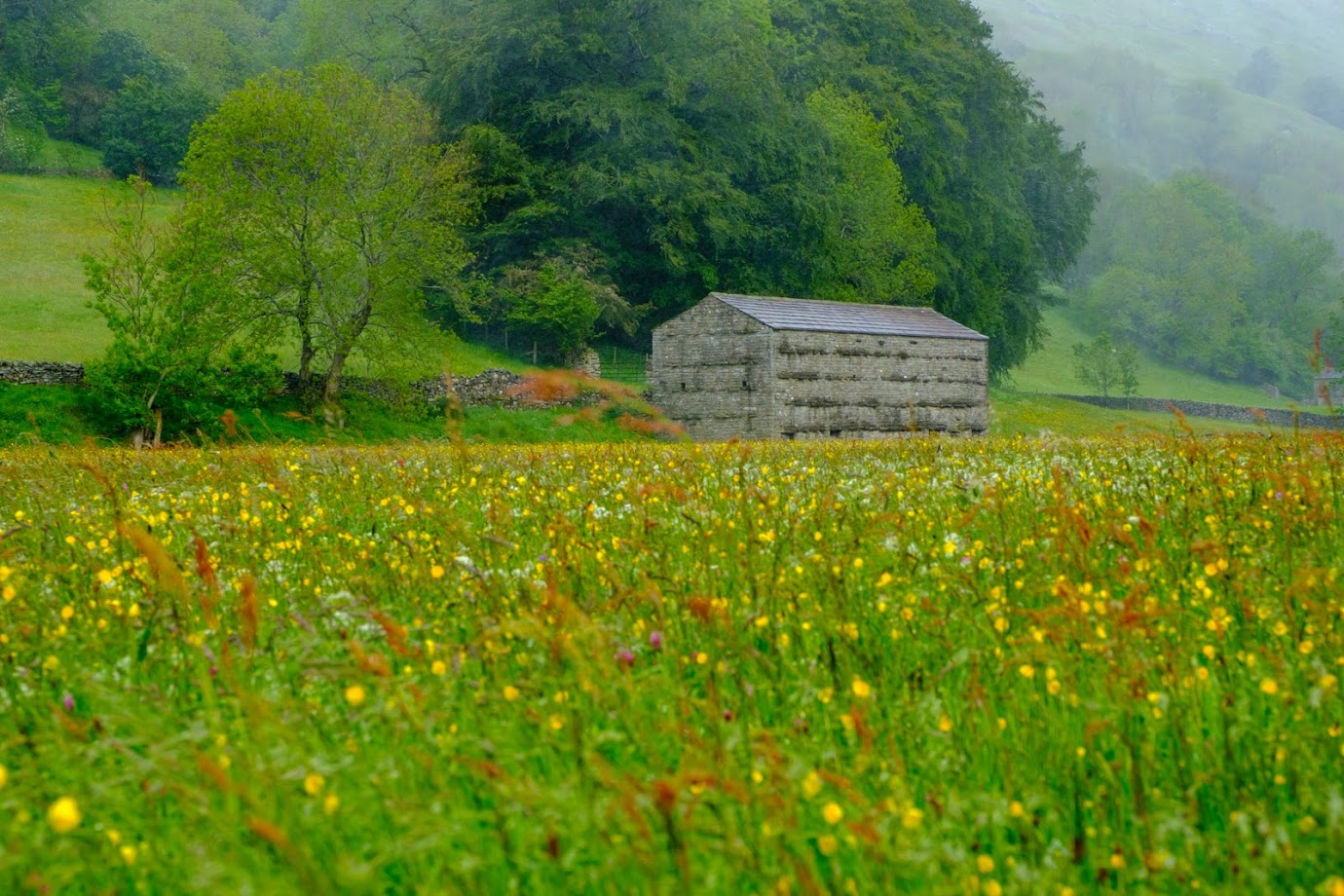 Wildflower meadows at Muker, Swaledale