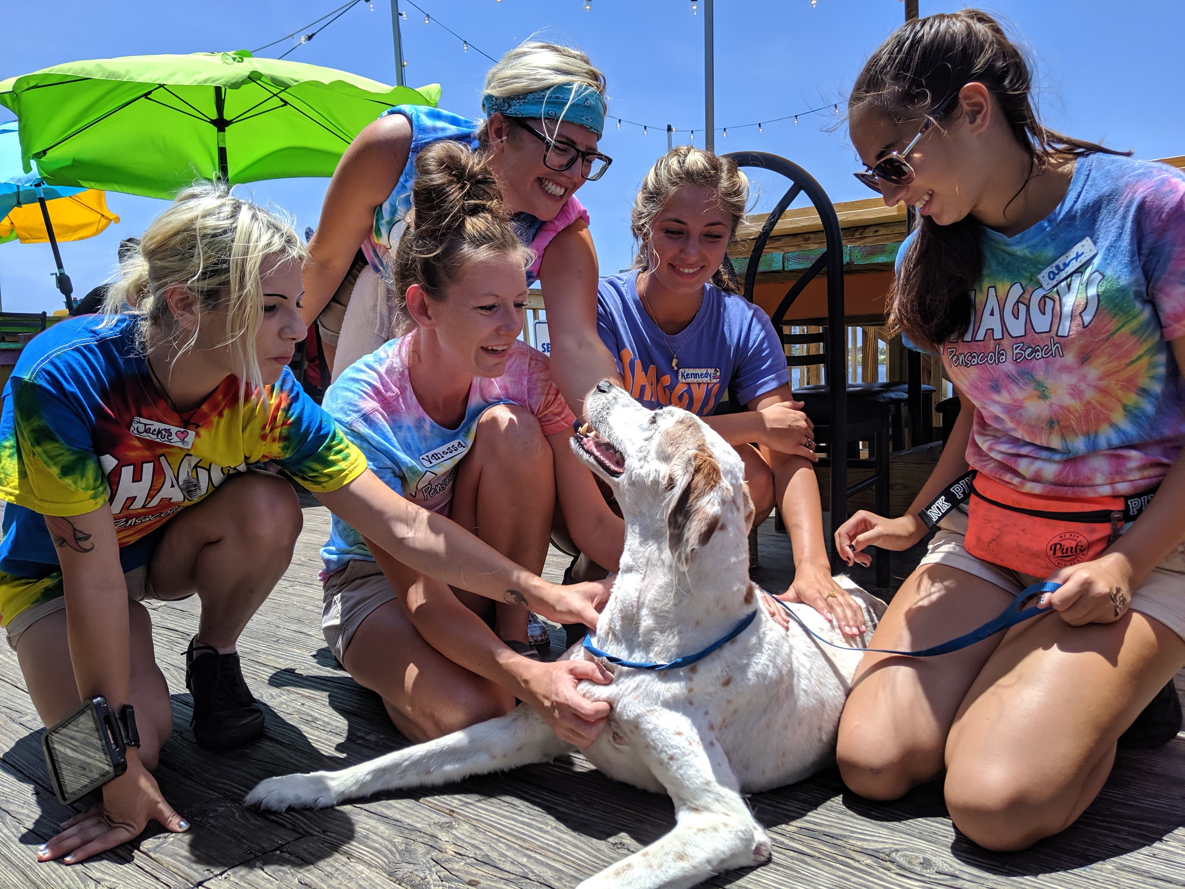 Wilson enjoys the company of staff at a local seafood bar and grill