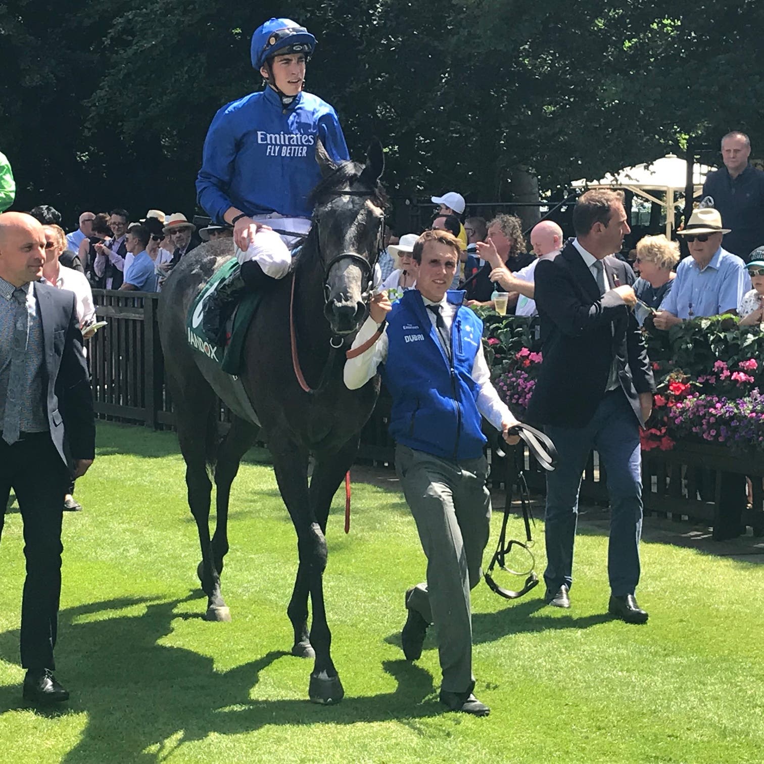 Summer Romance could be heading to France for her first start at Group race level