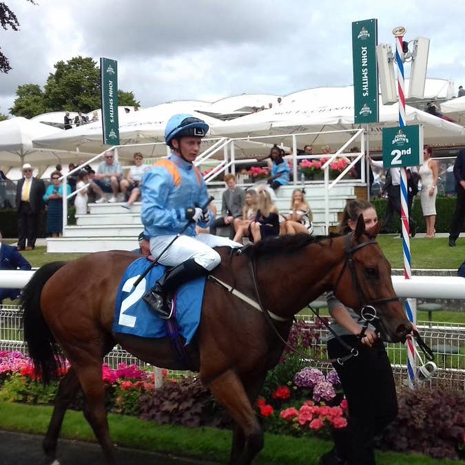 Copper Knight could be set for bigger things after his victory in the City Walls Stakes at York